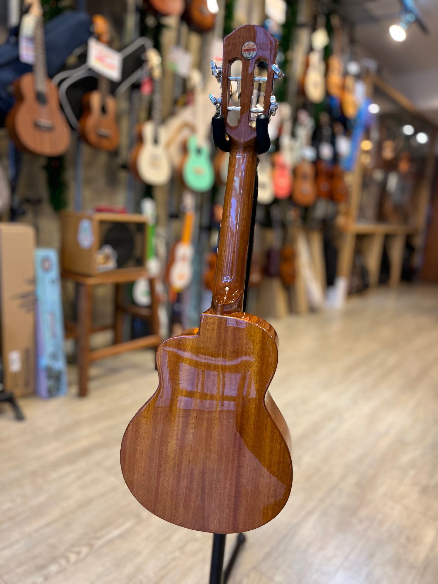 aNueNue Sitka Bird Concert Solid Sitka Spruce Top Mahogany Back & Sides
