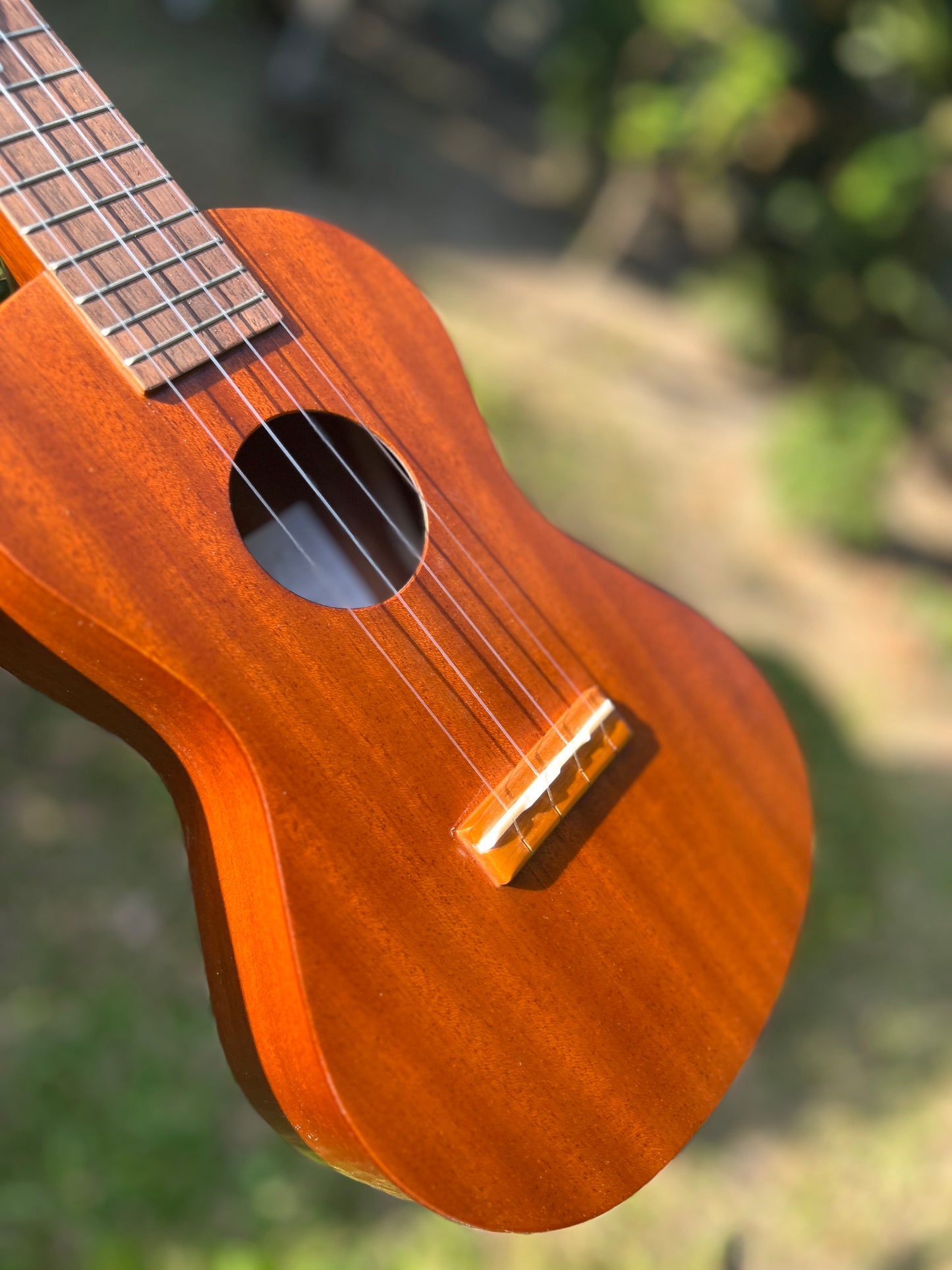 Famous FC-1G Concert Ukulele