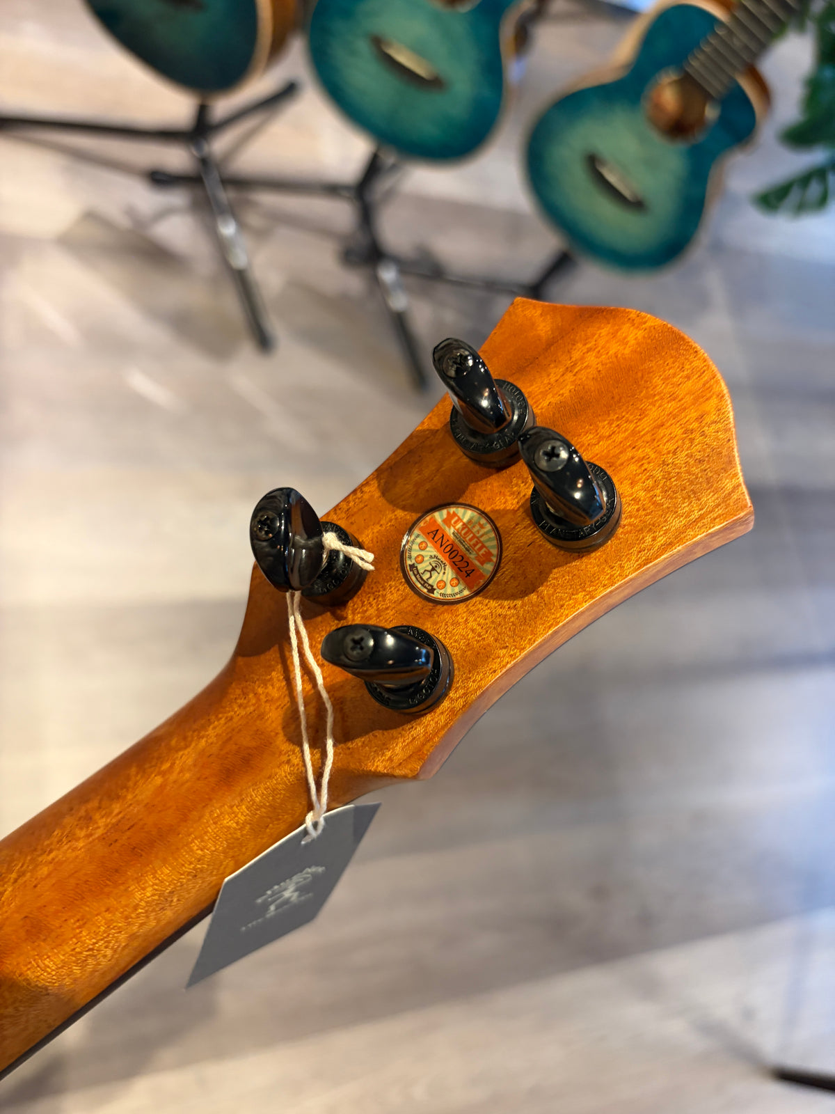 aNueNue Greenbird Cuban Mahogany Concert