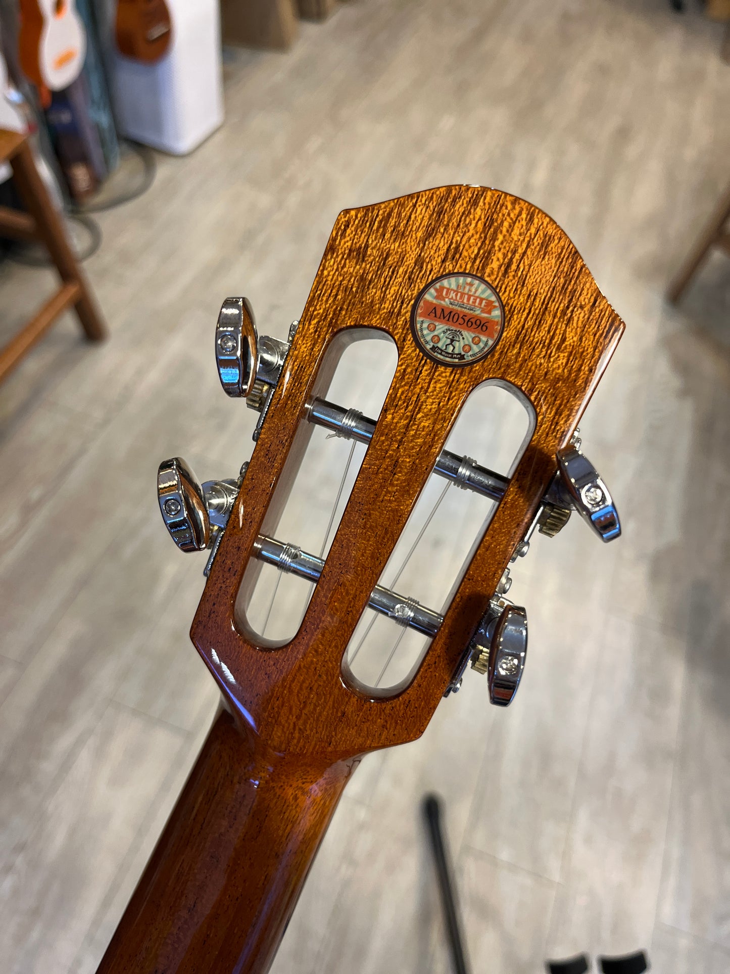 aNueNue Sitka Bird Concert Solid Sitka Spruce Top Mahogany Back & Sides