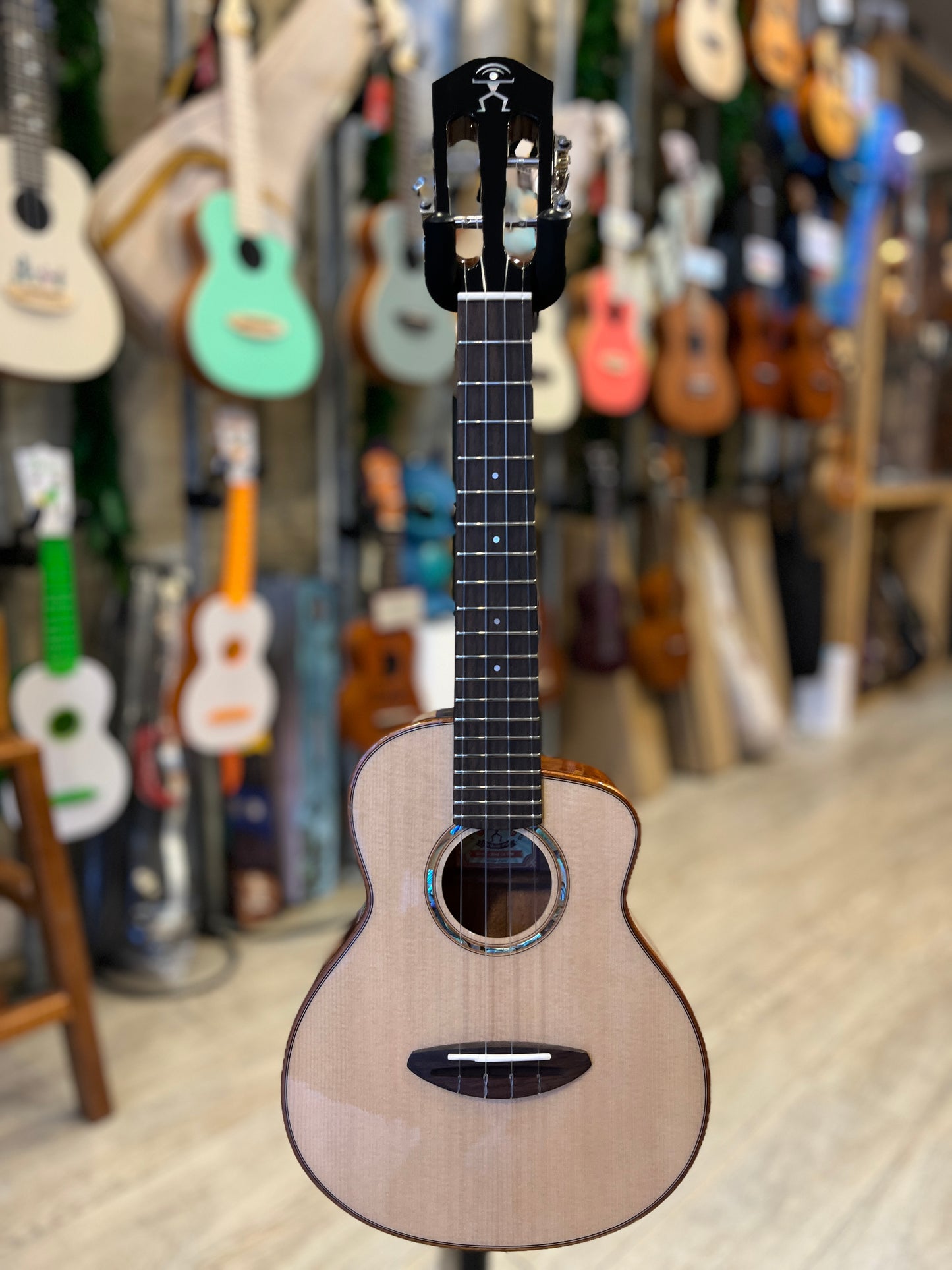 aNueNue Sitka Bird Concert Solid Sitka Spruce Top Mahogany Back & Sides