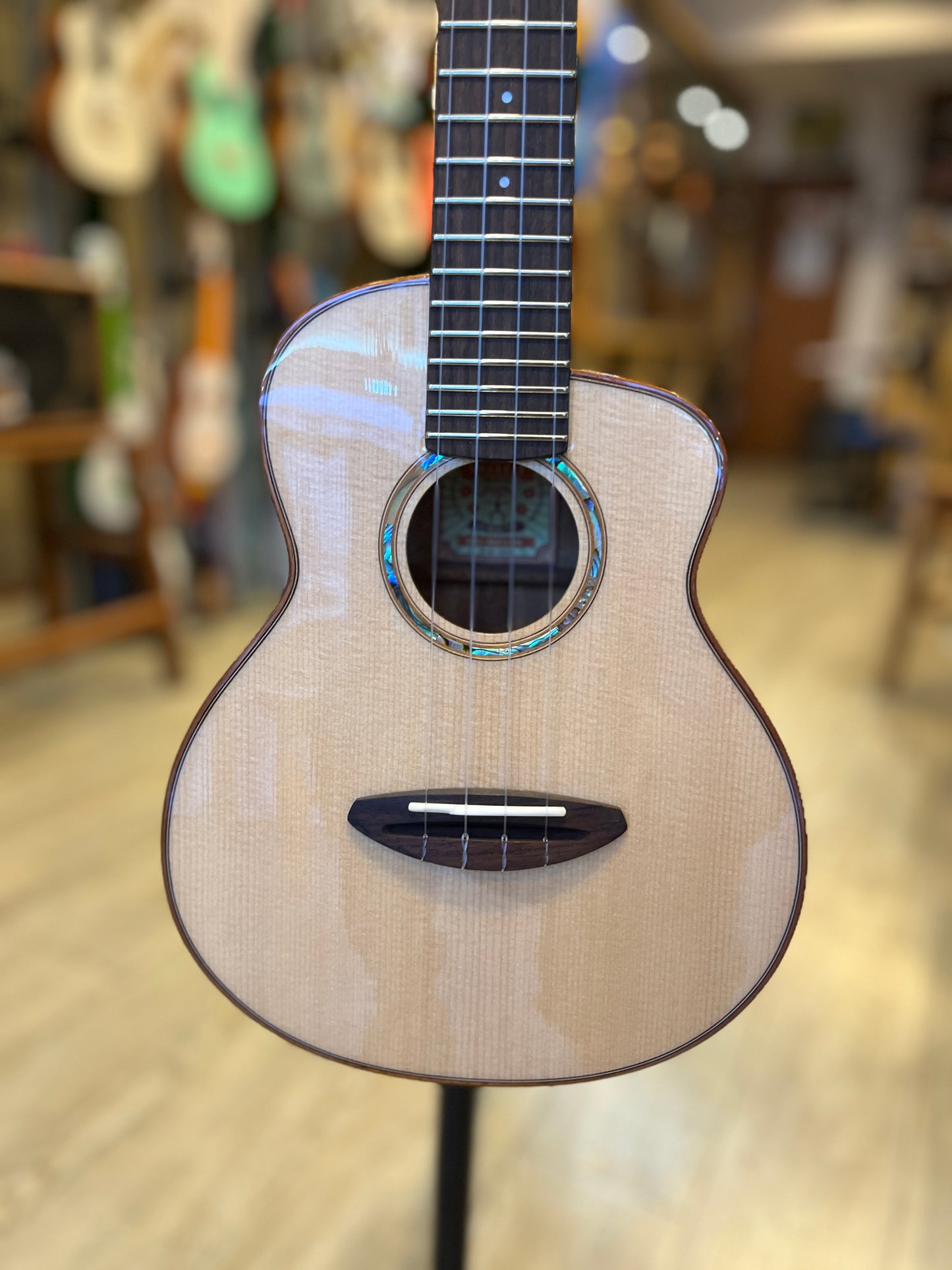 aNueNue Sitka Bird Concert Solid Sitka Spruce Top Mahogany Back & Sides