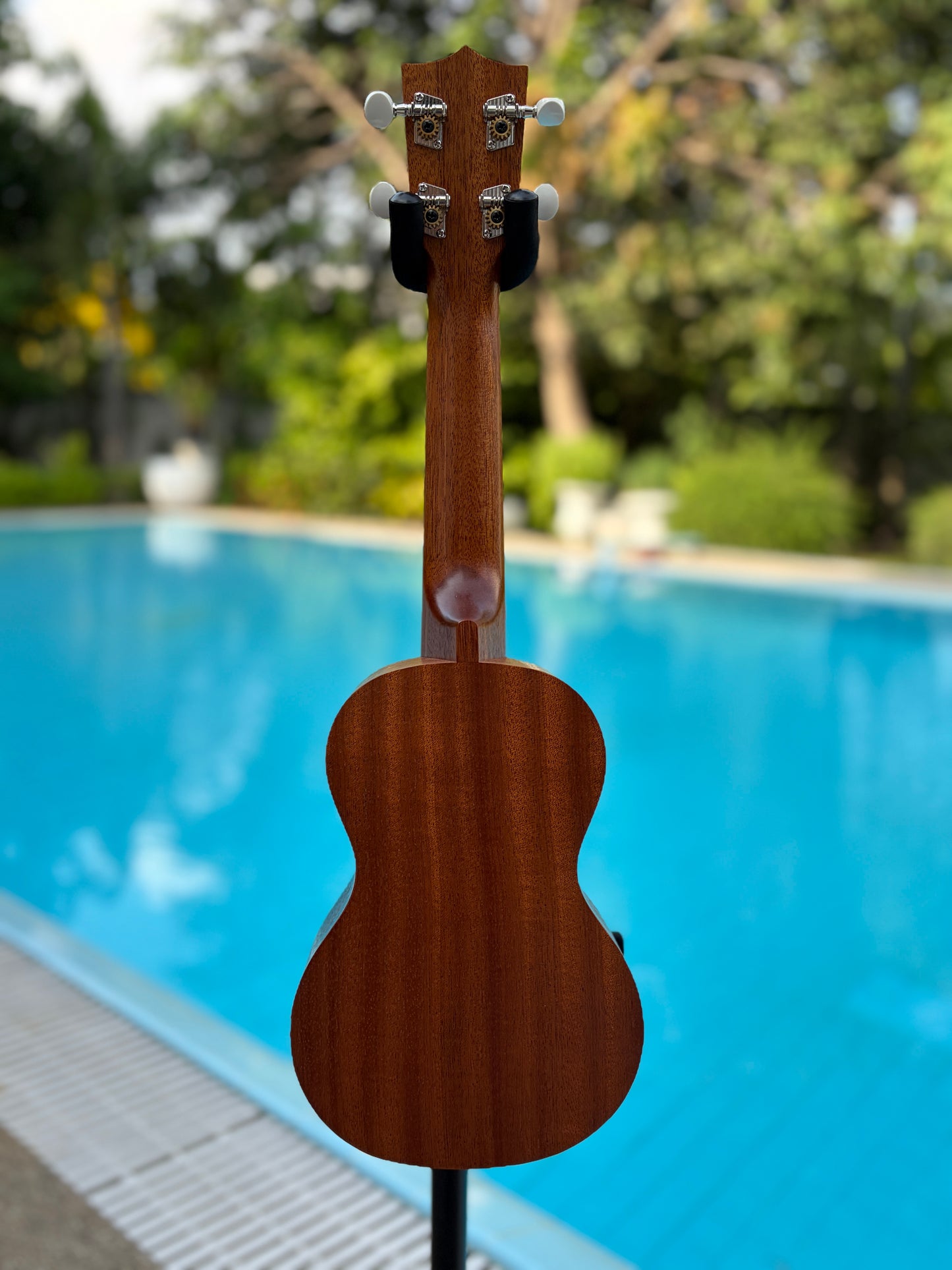 Famous (Kiwaya) FS-1G Ivy Mahogany Soprano