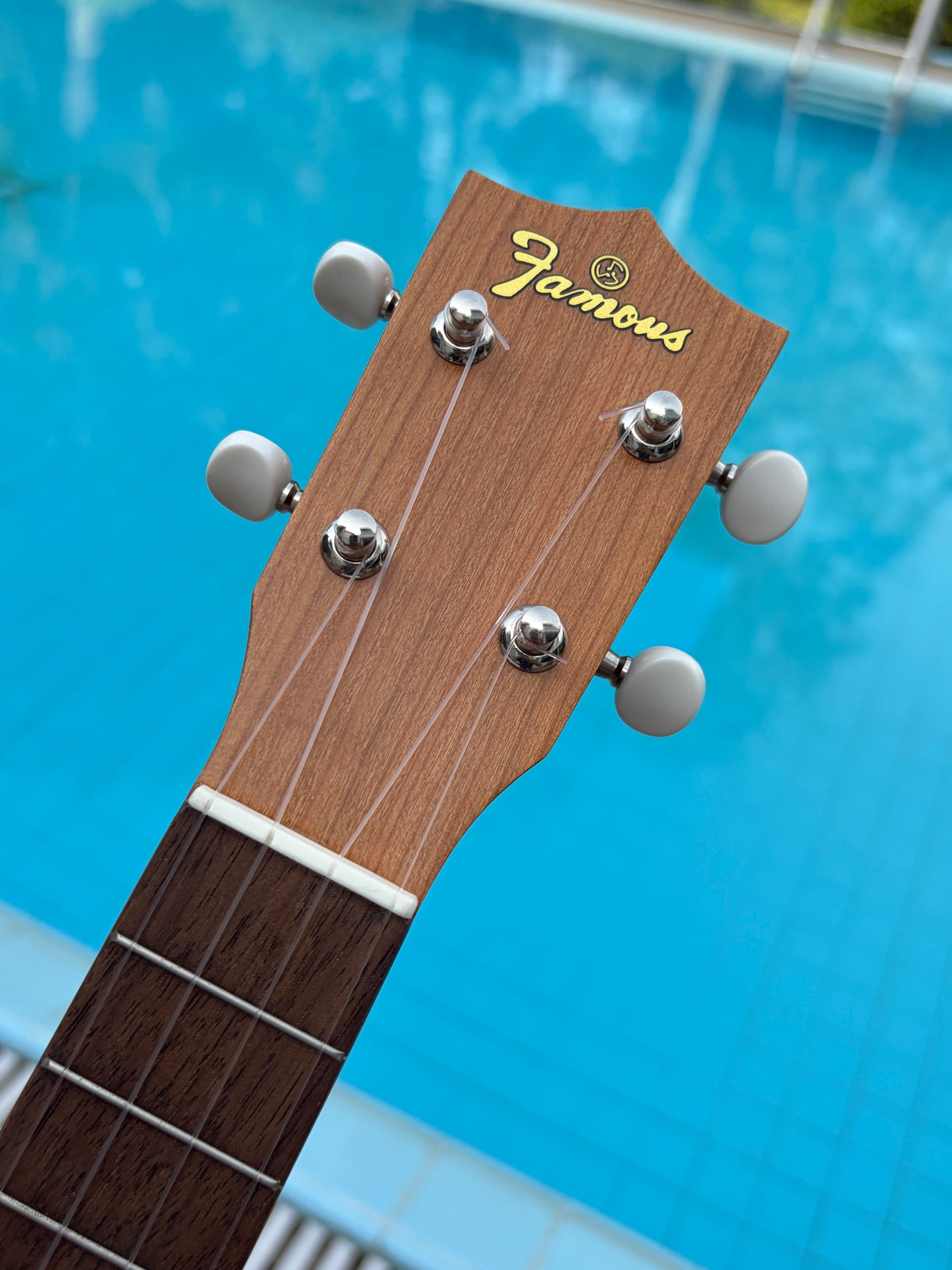 Faamous (Kiwaya) Cherry Soprano Long Neck Ukulele