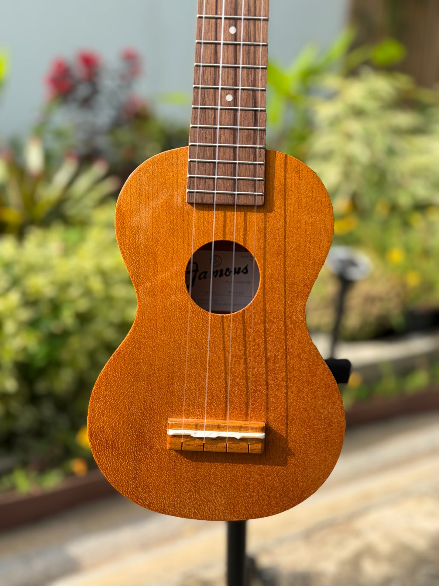 Famous Cherry Soprano