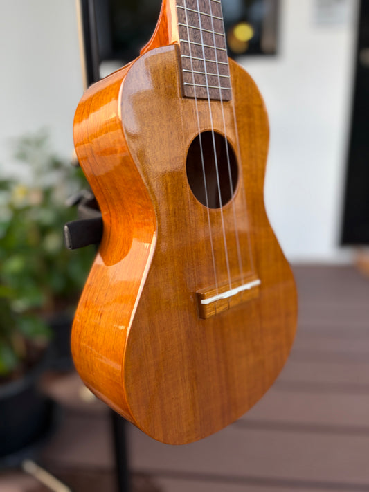 Famous FC-5G Hawaiian Koa Concert