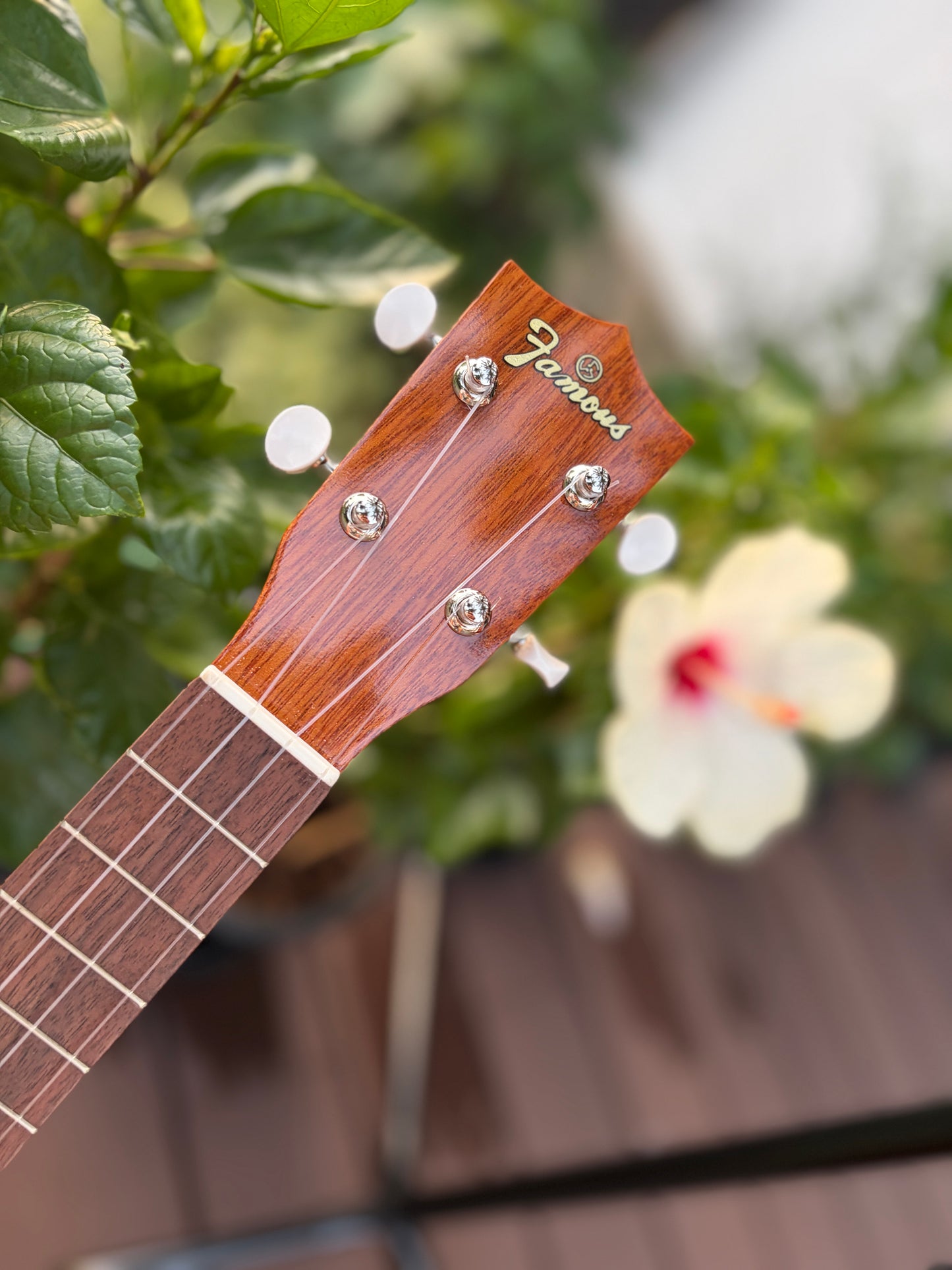 Famous FC-5G Hawaiian Koa Concert