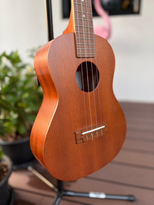 Famous FT-1G Mahogany Tenor