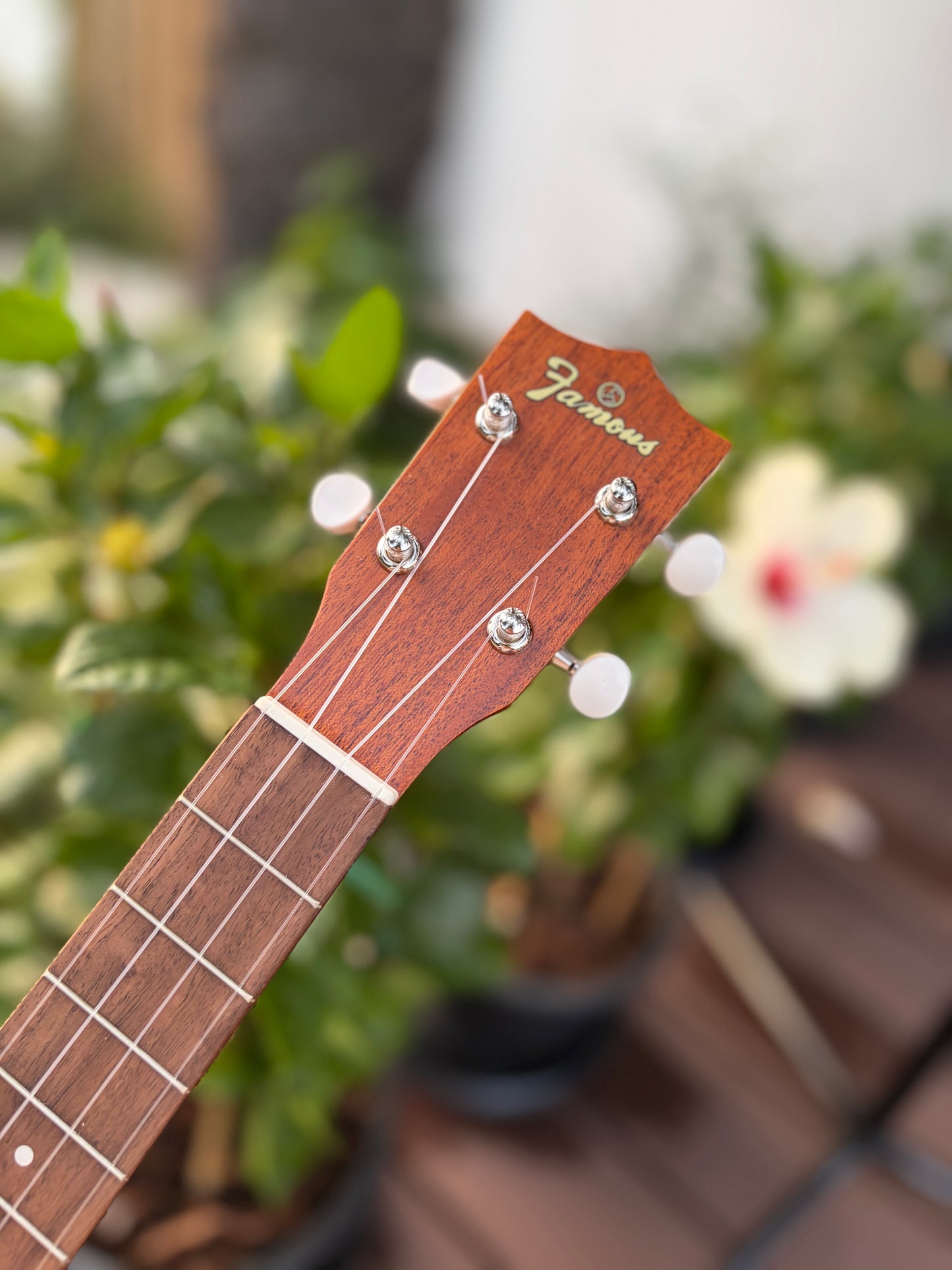 Famous FT-1G Mahogany Tenor