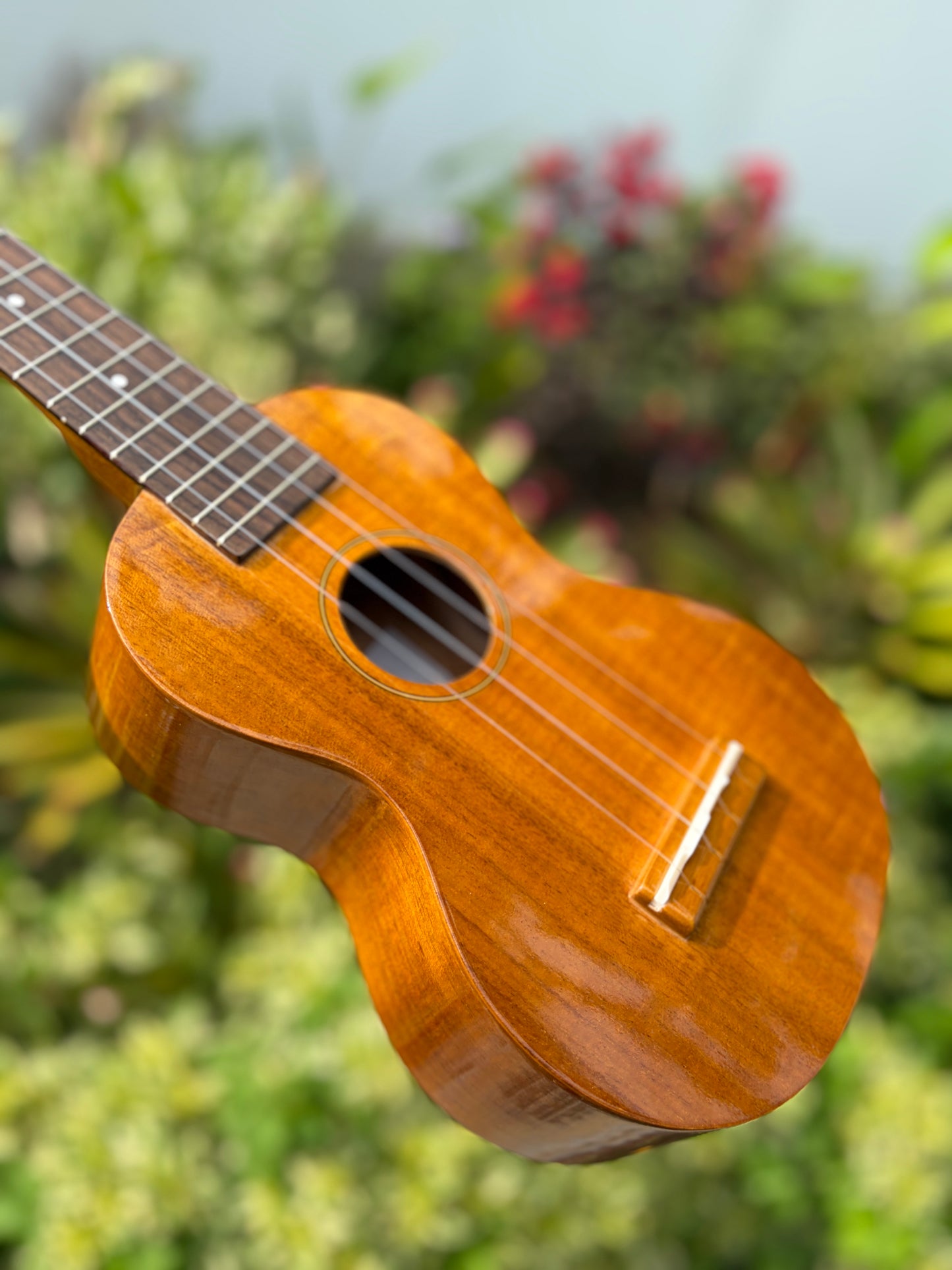 Famous Koa Soprano