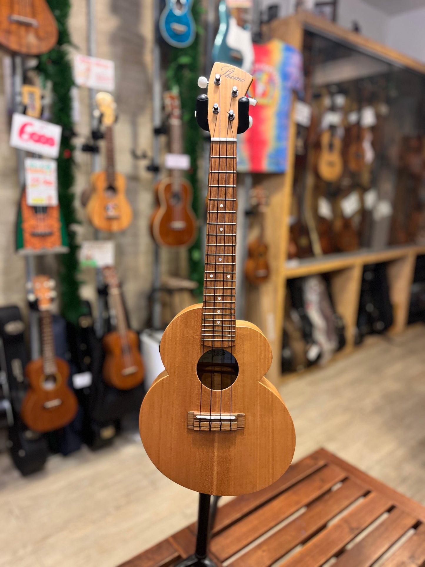 Shimo Cloud Cherry Blossom Concert (USED : Mint)