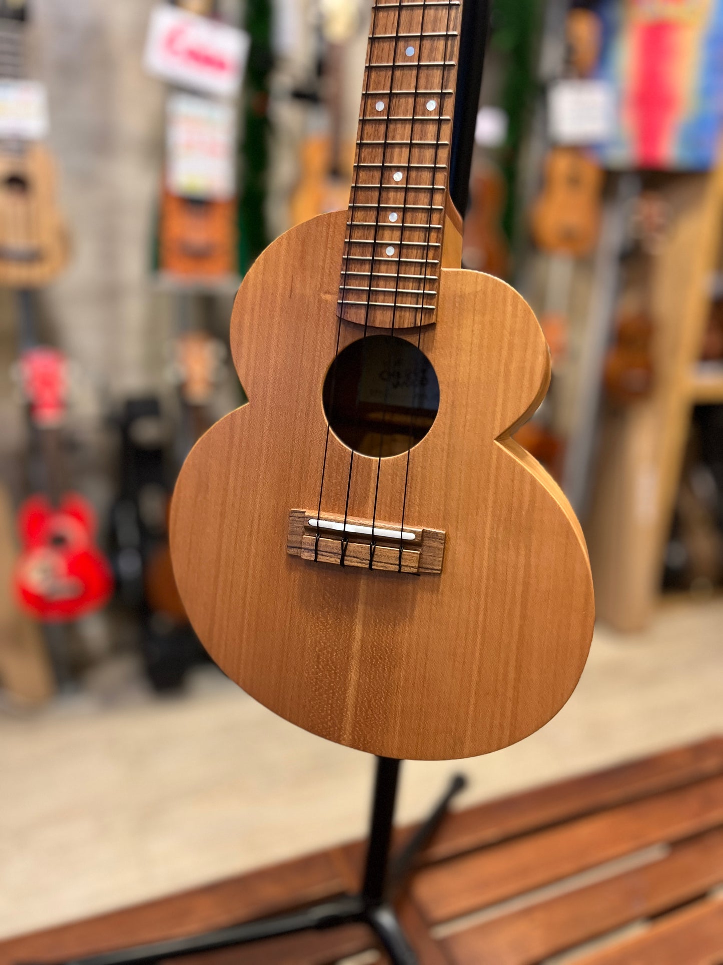 Shimo Cloud Cherry Blossom Concert (USED : Mint)