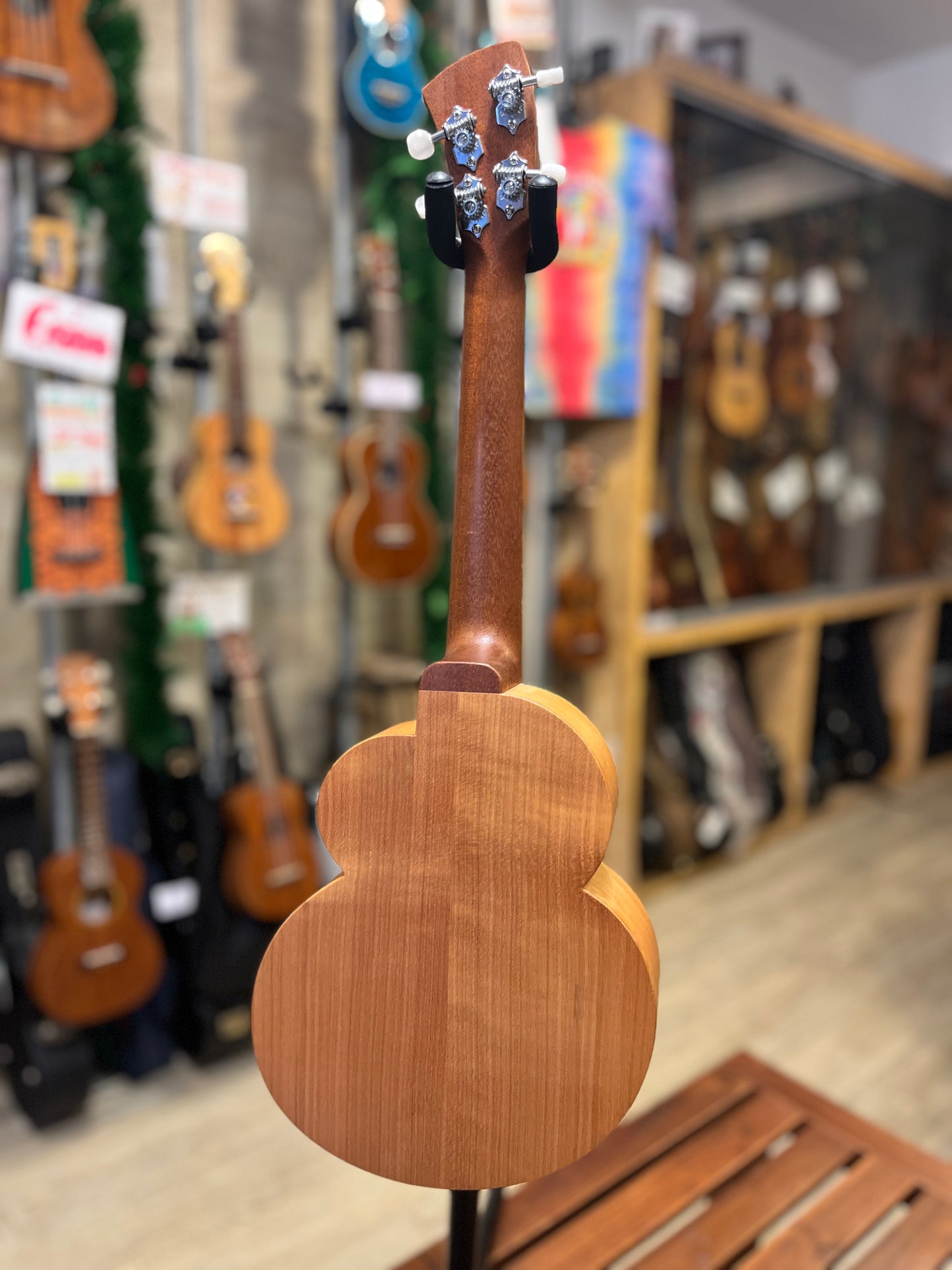 Shimo Cloud Cherry Blossom Concert (USED : Mint)