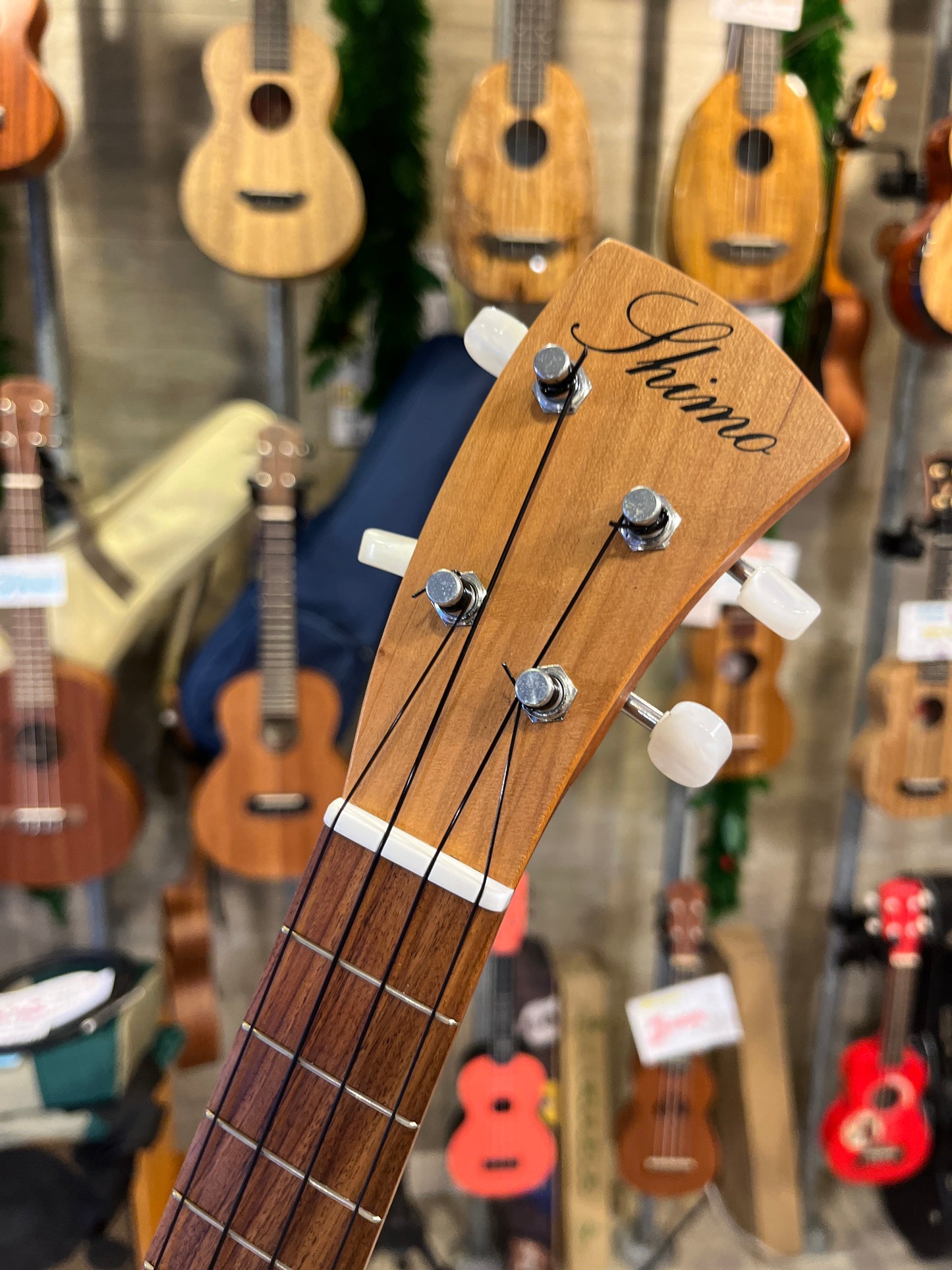 Shimo Cloud Cherry Blossom Concert (USED : Mint)