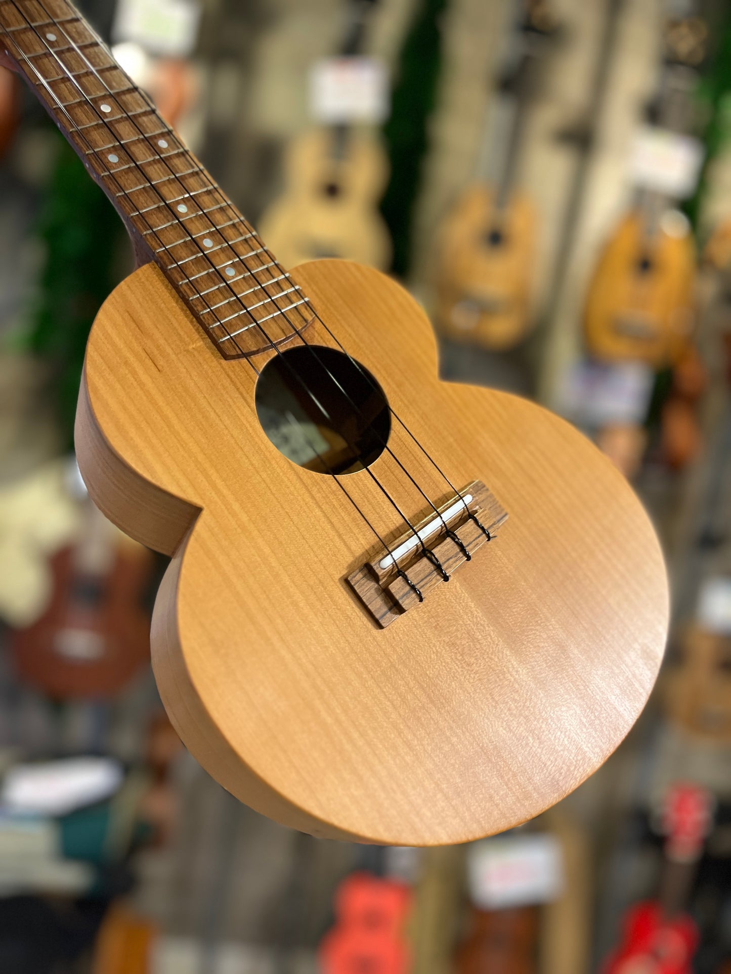 Shimo Cloud Cherry Blossom Concert (USED : Mint)