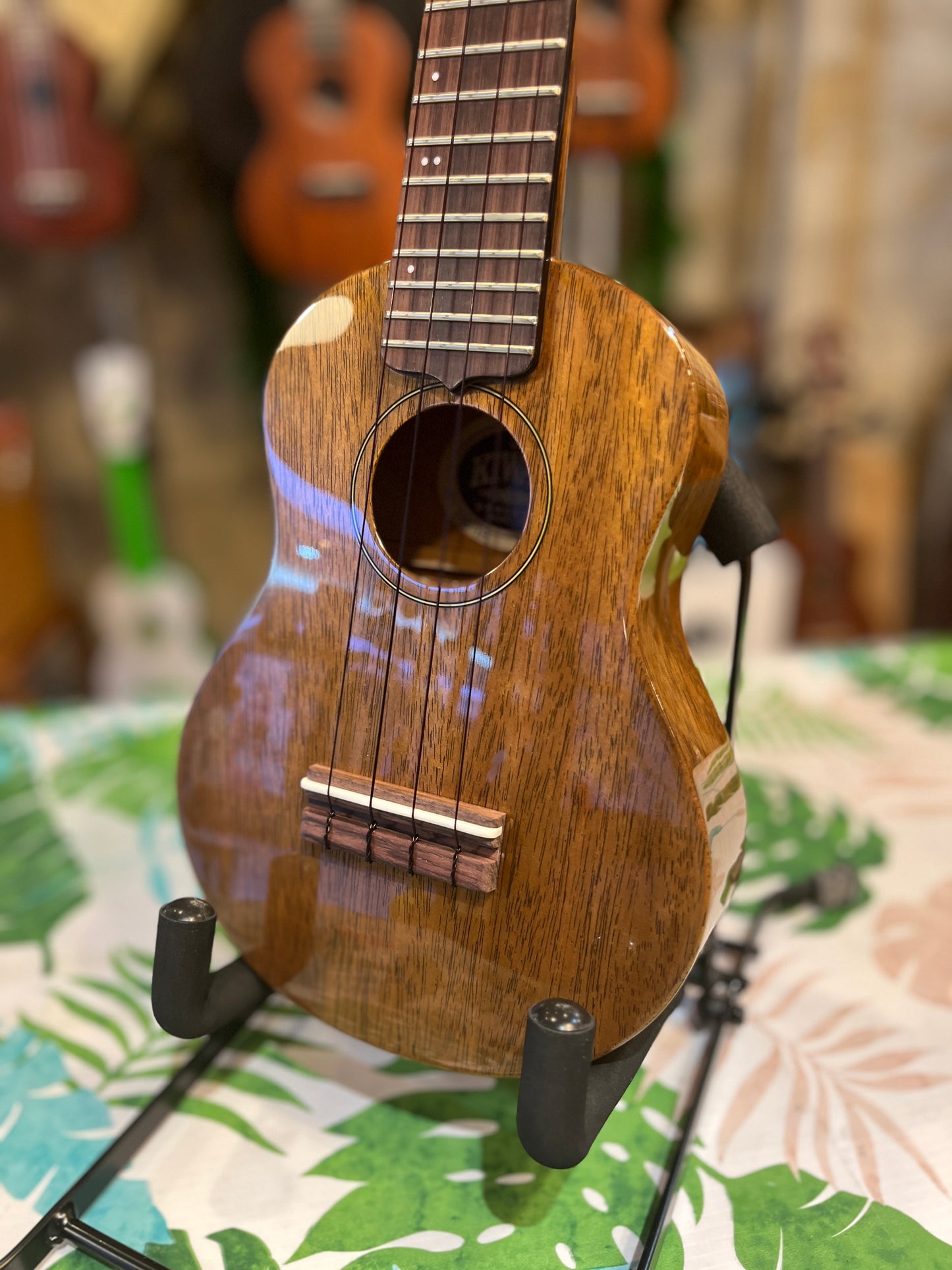 Kiwaya Strummer Series Soprano (Made in Japan)
