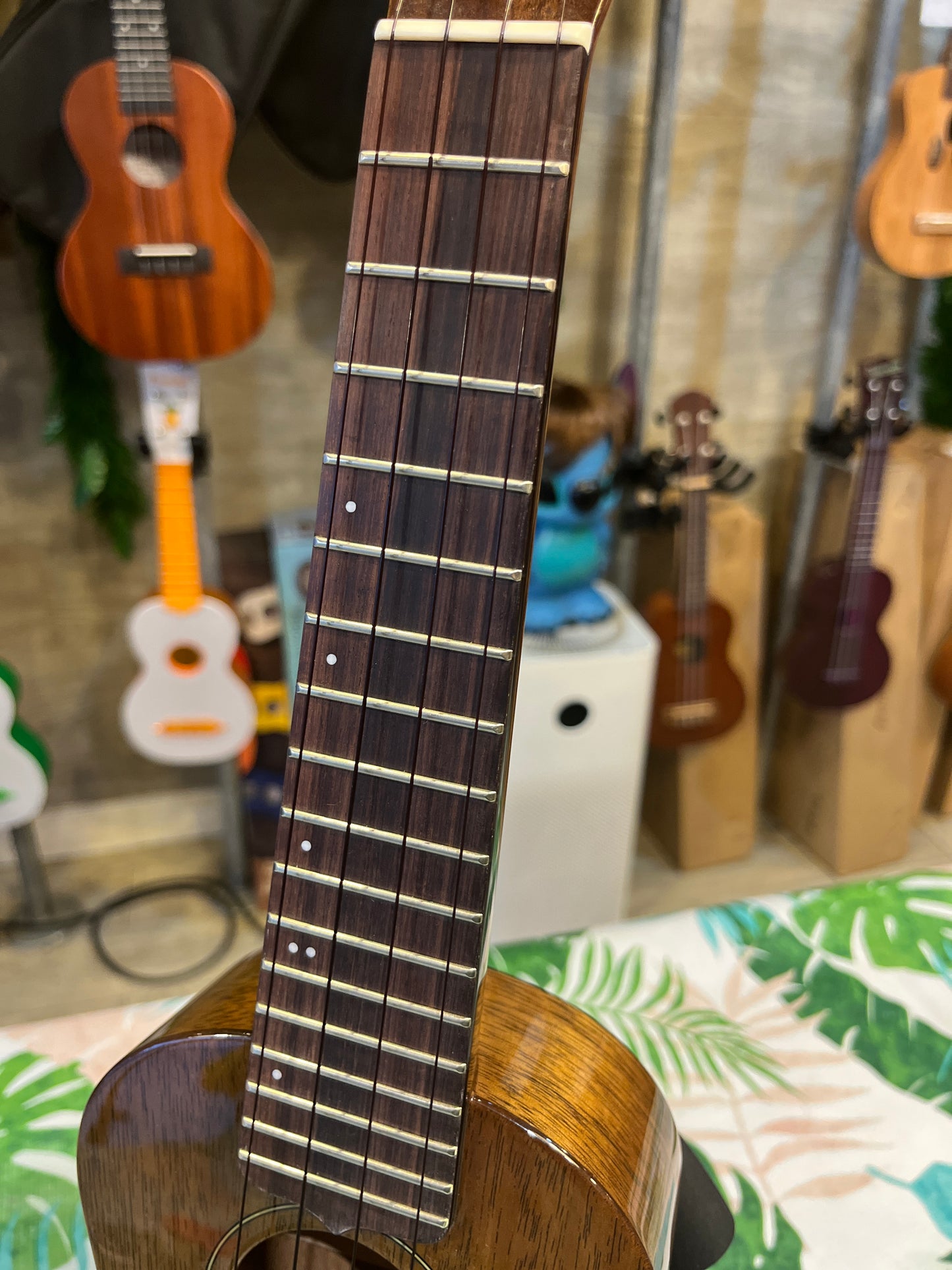 Kiwaya Strummer Series Soprano (Made in Japan)