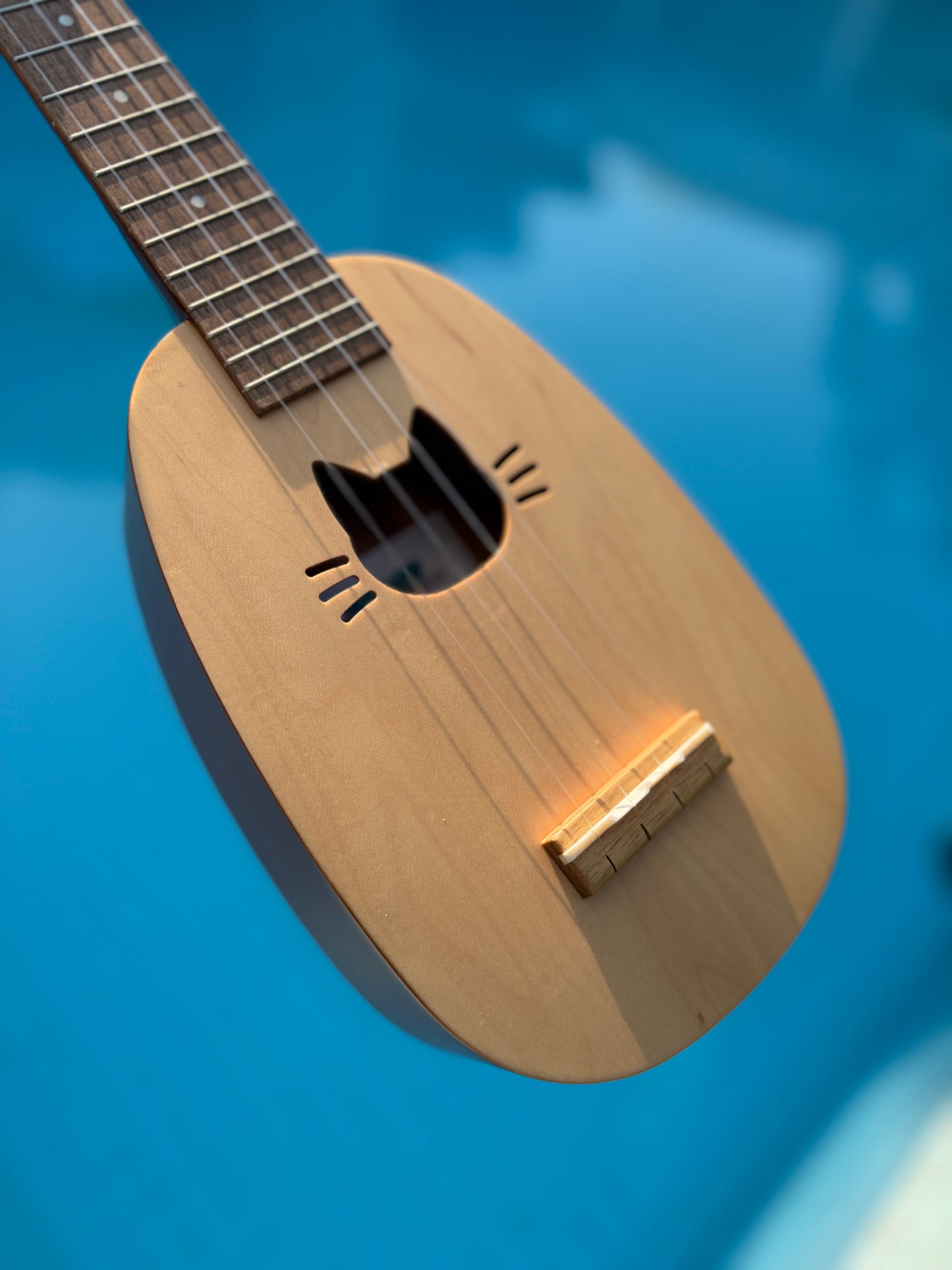 Zephyr Pineapple Cat