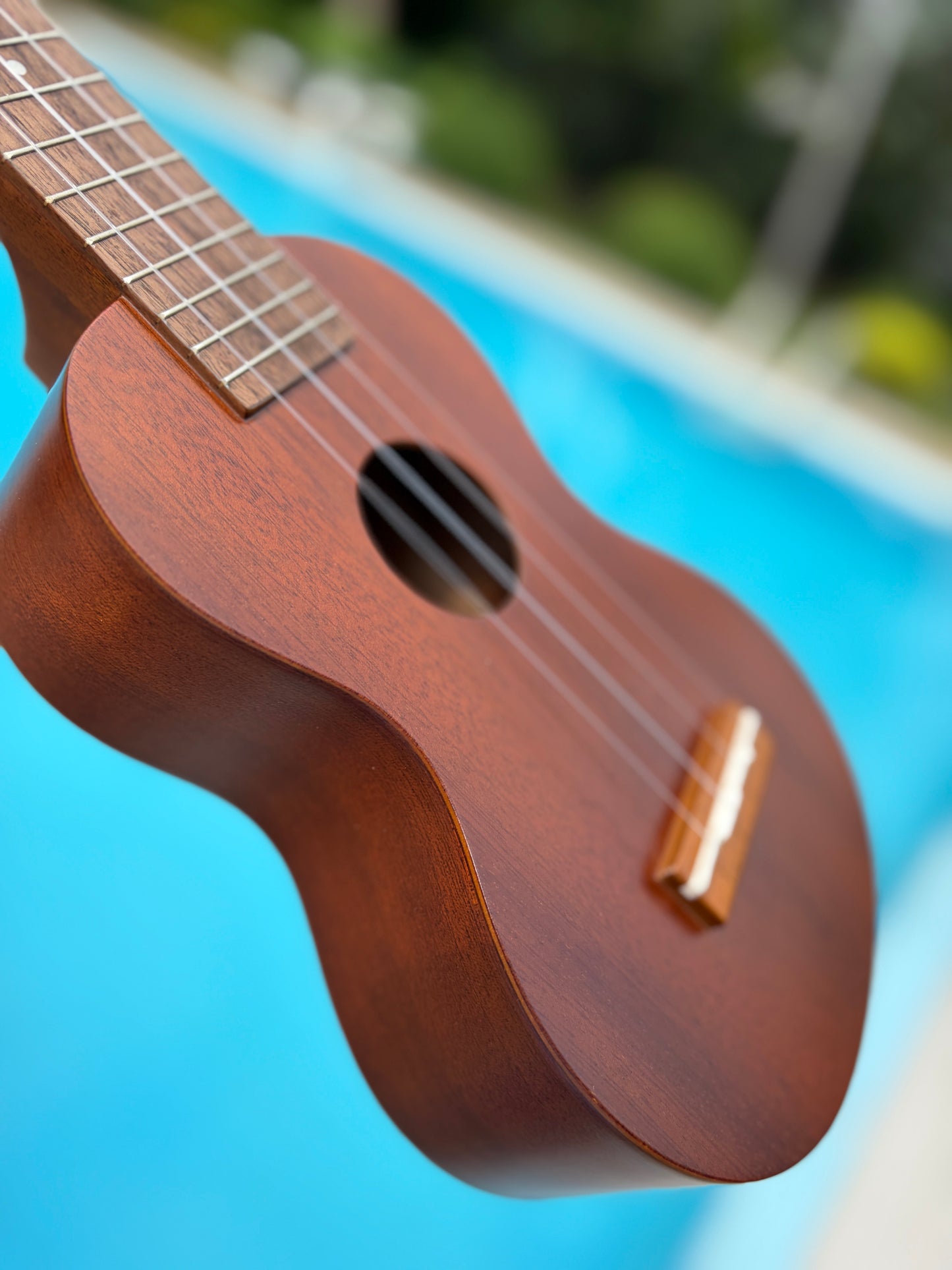 Famous (Kiwaya) Mahogany Soprano Long Neck Ukulele