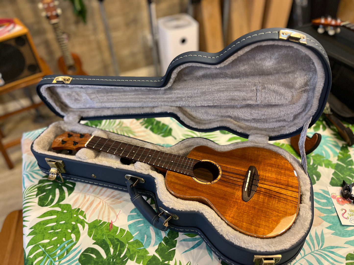 aNueNue Koa Bird Concert