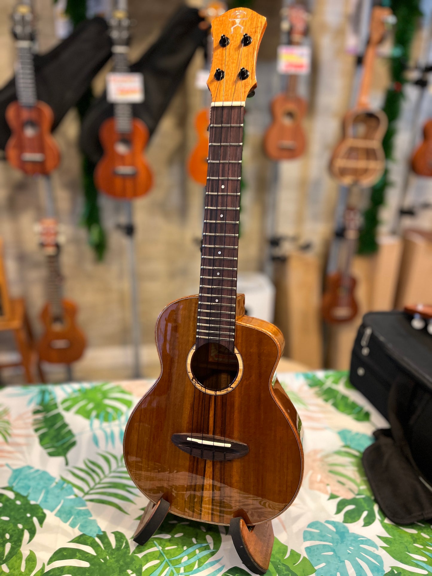 aNueNue Koa Bird Concert