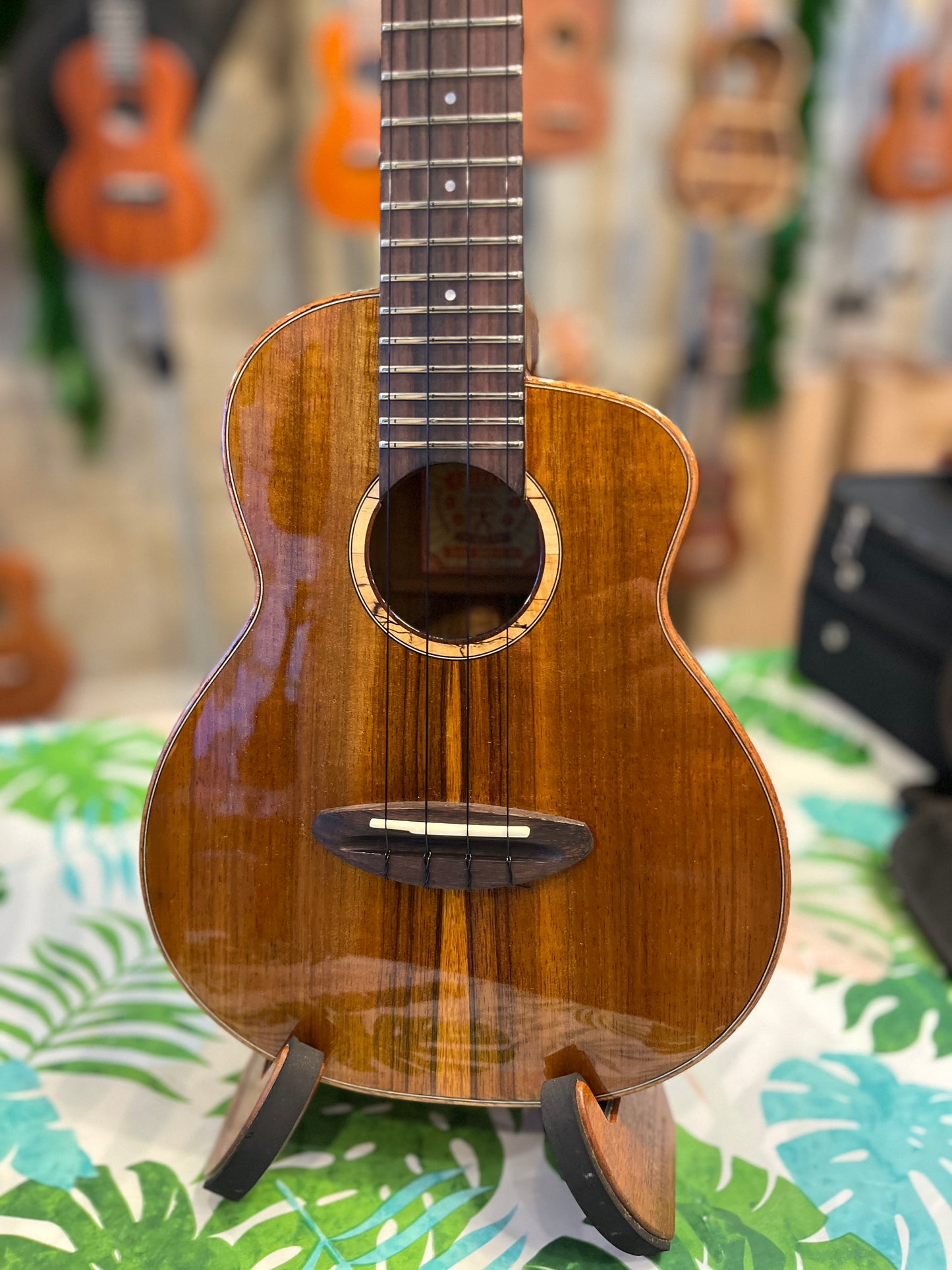 aNueNue Koa Bird Concert