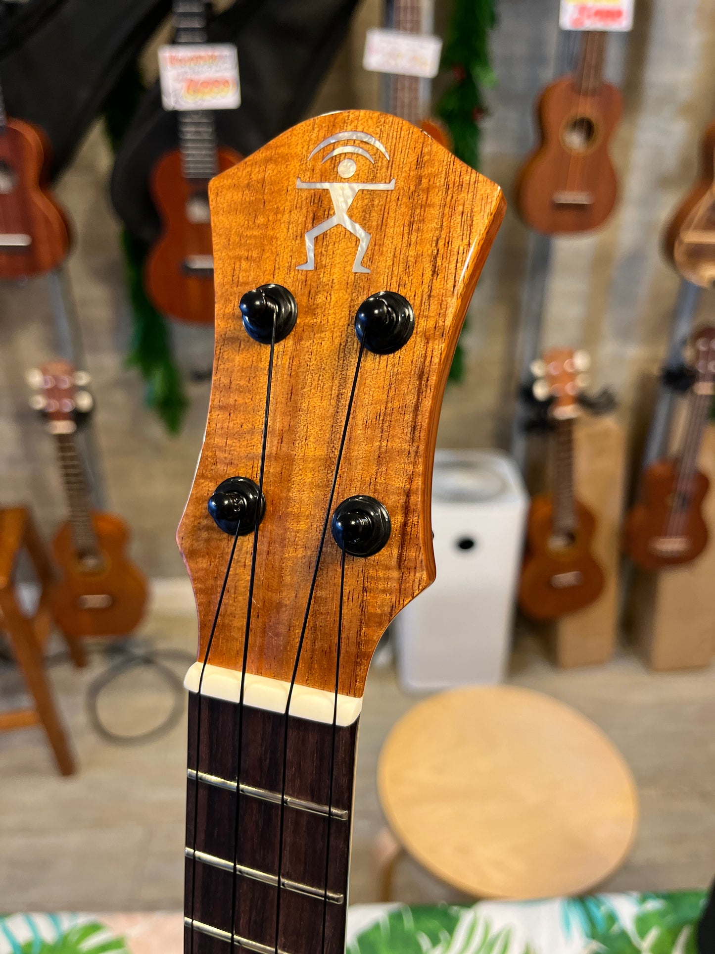 aNueNue Koa Bird Concert