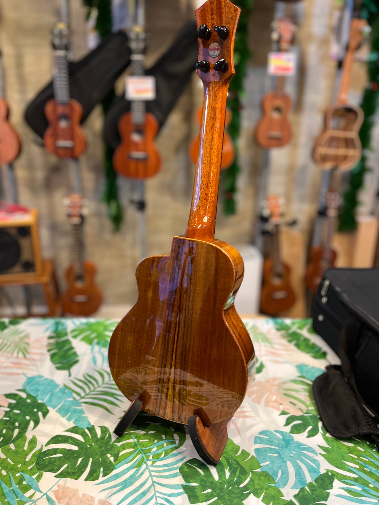 aNueNue Koa Bird Concert