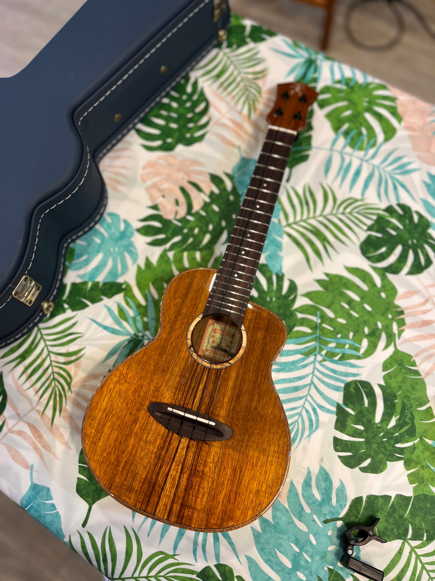 aNueNue Koa Bird Concert