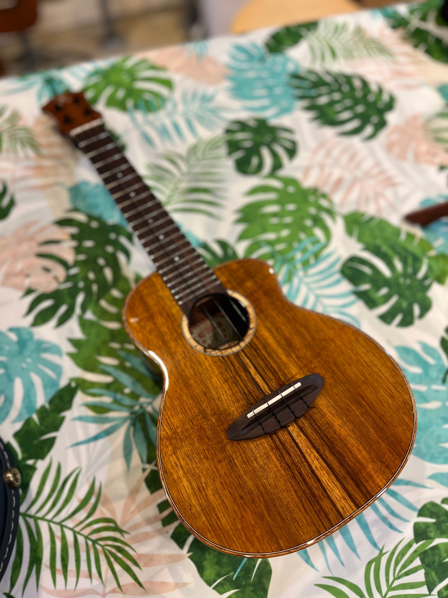 aNueNue Koa Bird Concert