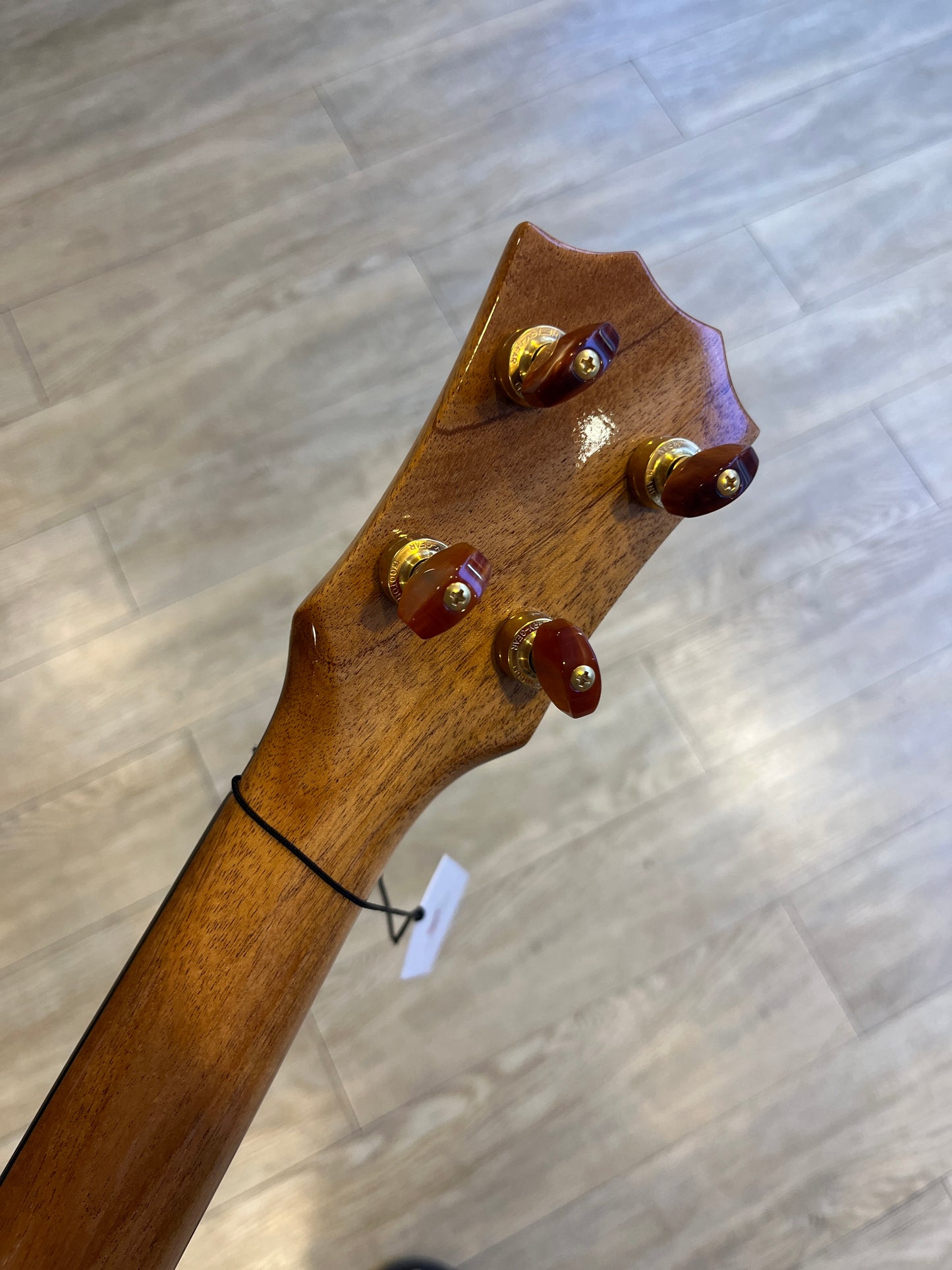 The Rebel Mango Tenor Gloss