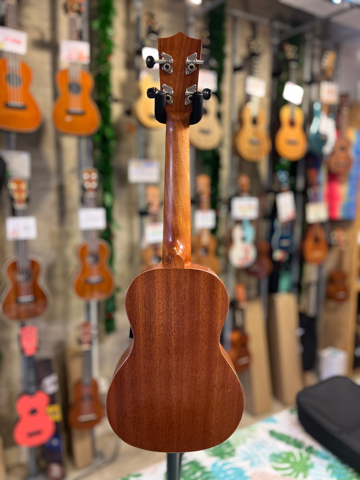 Kiwaya Student Model Concert Ukulele