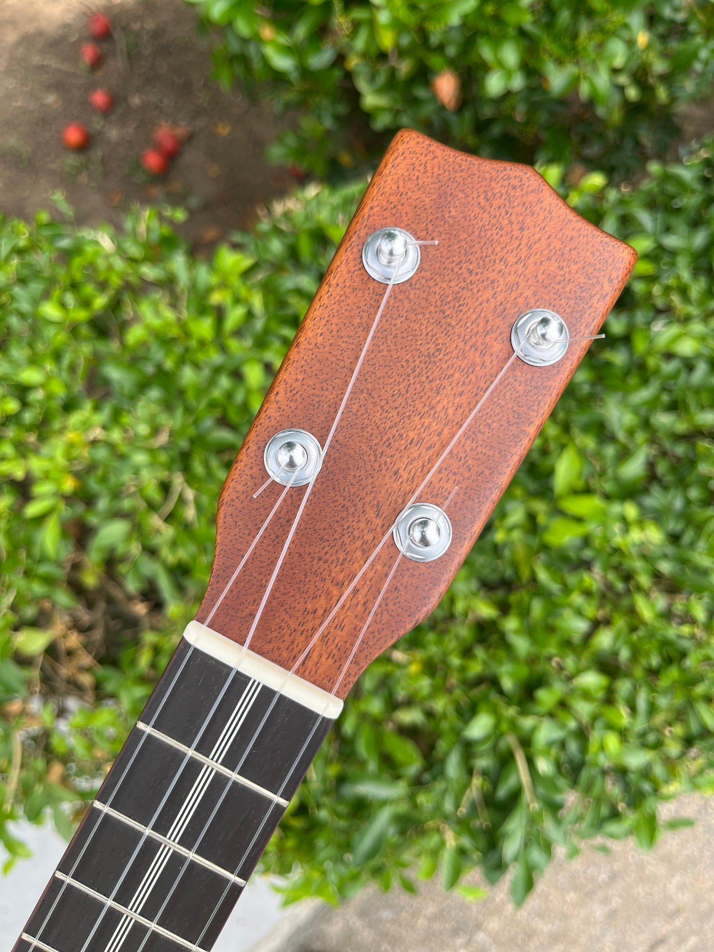Kiwaya Luna Style 3M Fijian Mahogany Concert