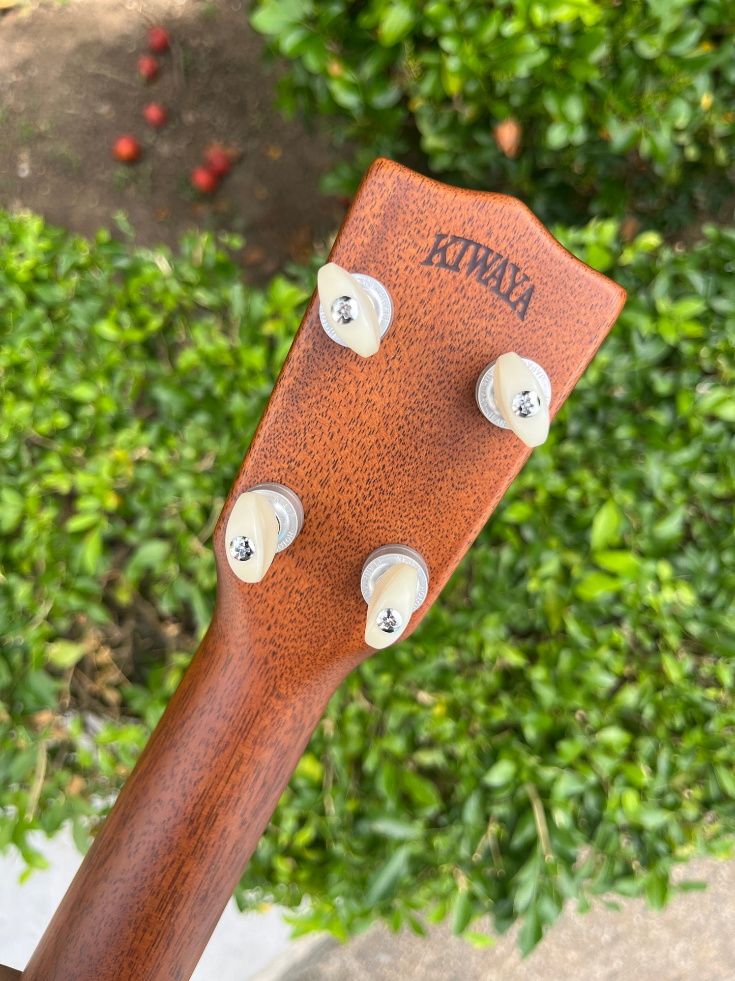 Kiwaya Luna Style 3M Fijian Mahogany Concert