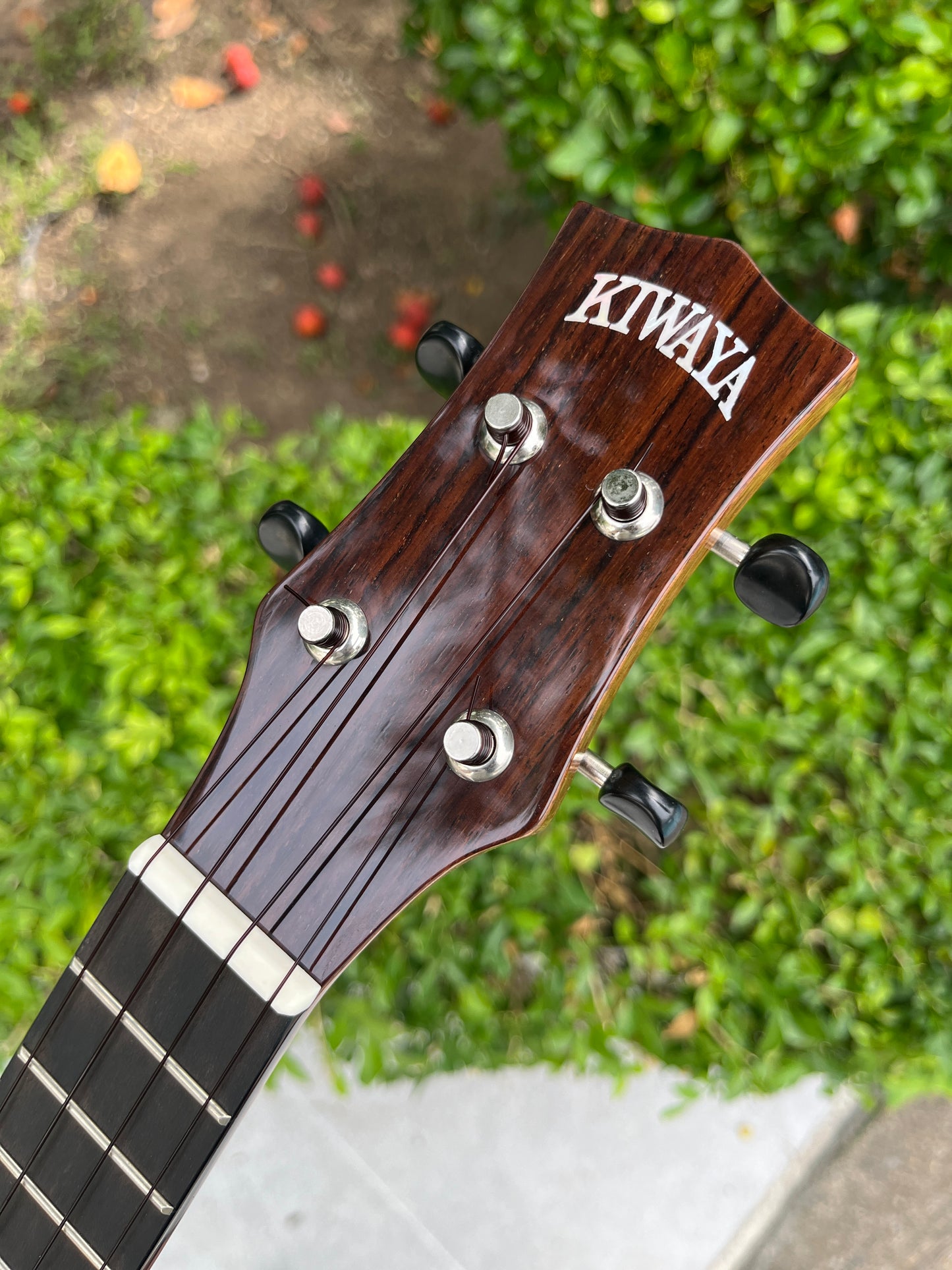 Kiwaya Limited Custom Sitka Spruce Top/ Indian Rosewood Back & Sides