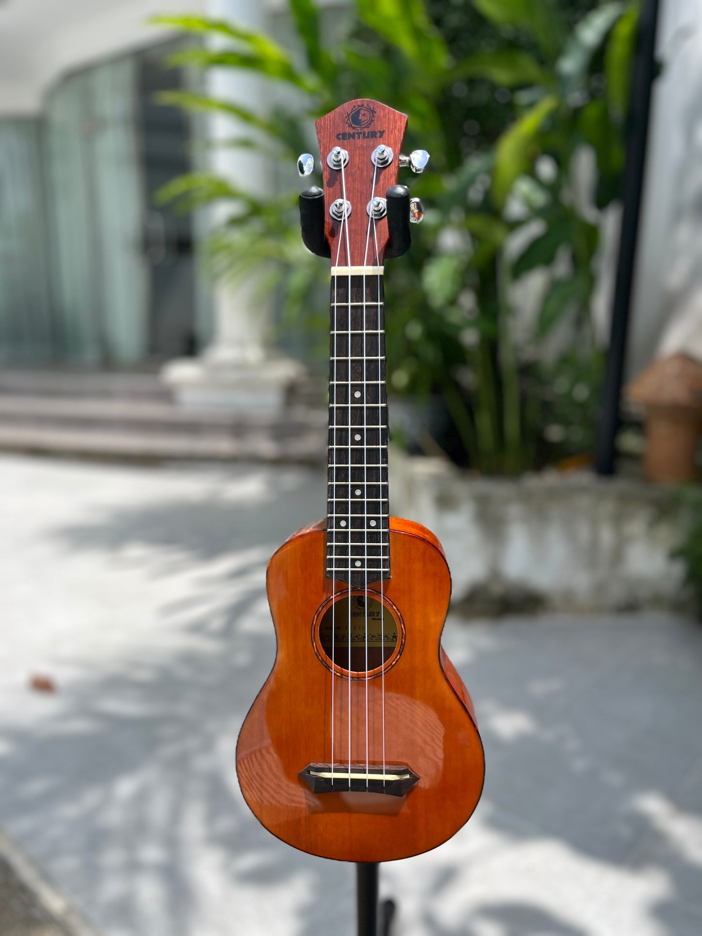 Century Soprano ล้างสต๊อค