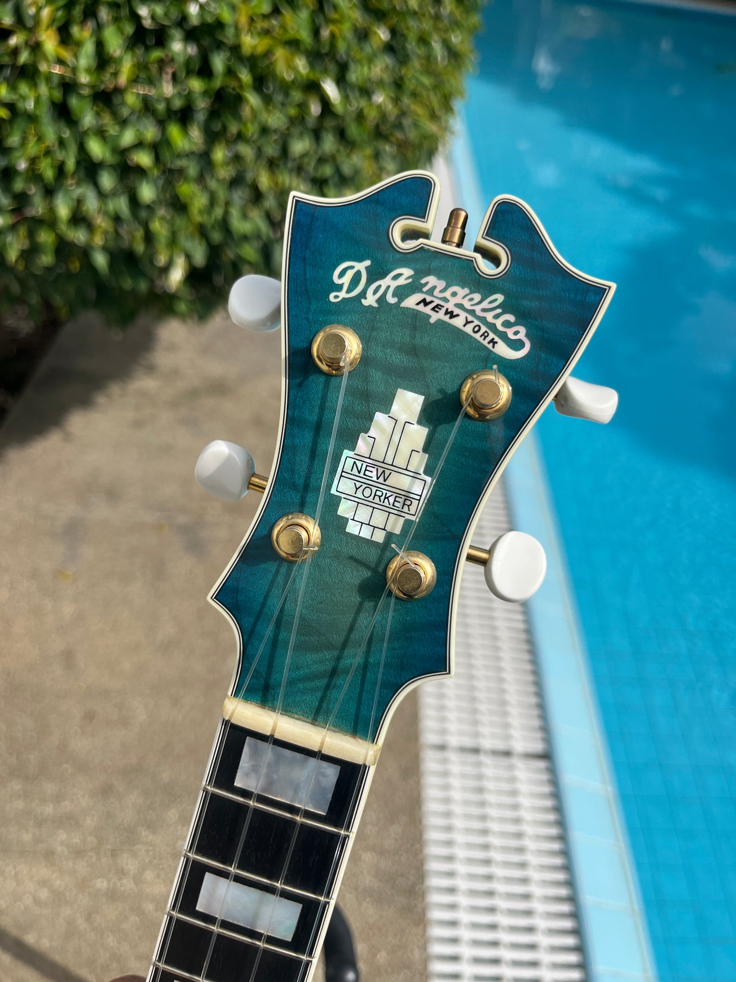 D'Angelico Arc Top Ukulele Blue Burst
