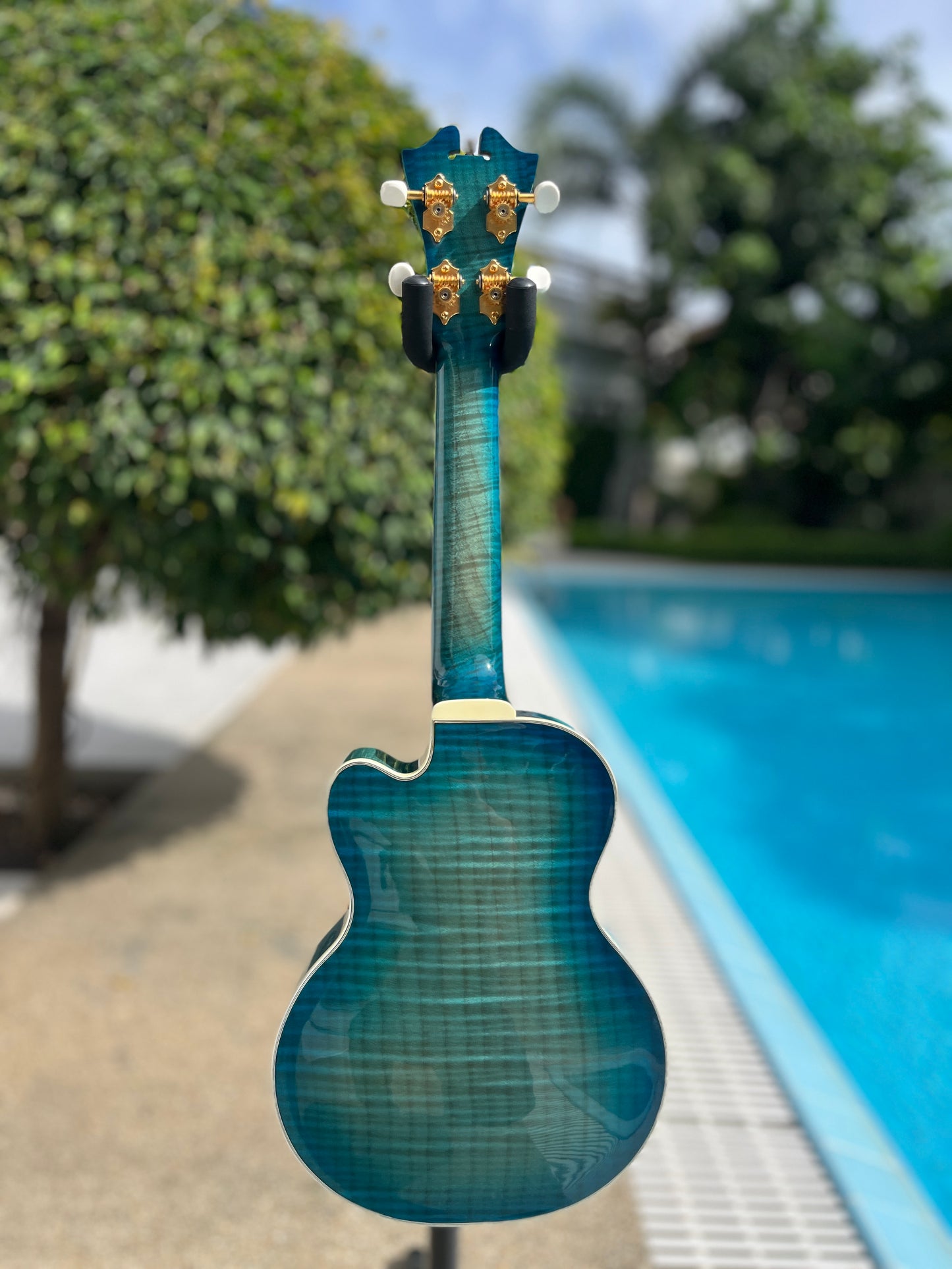 D'Angelico Arc Top Ukulele Blue Burst
