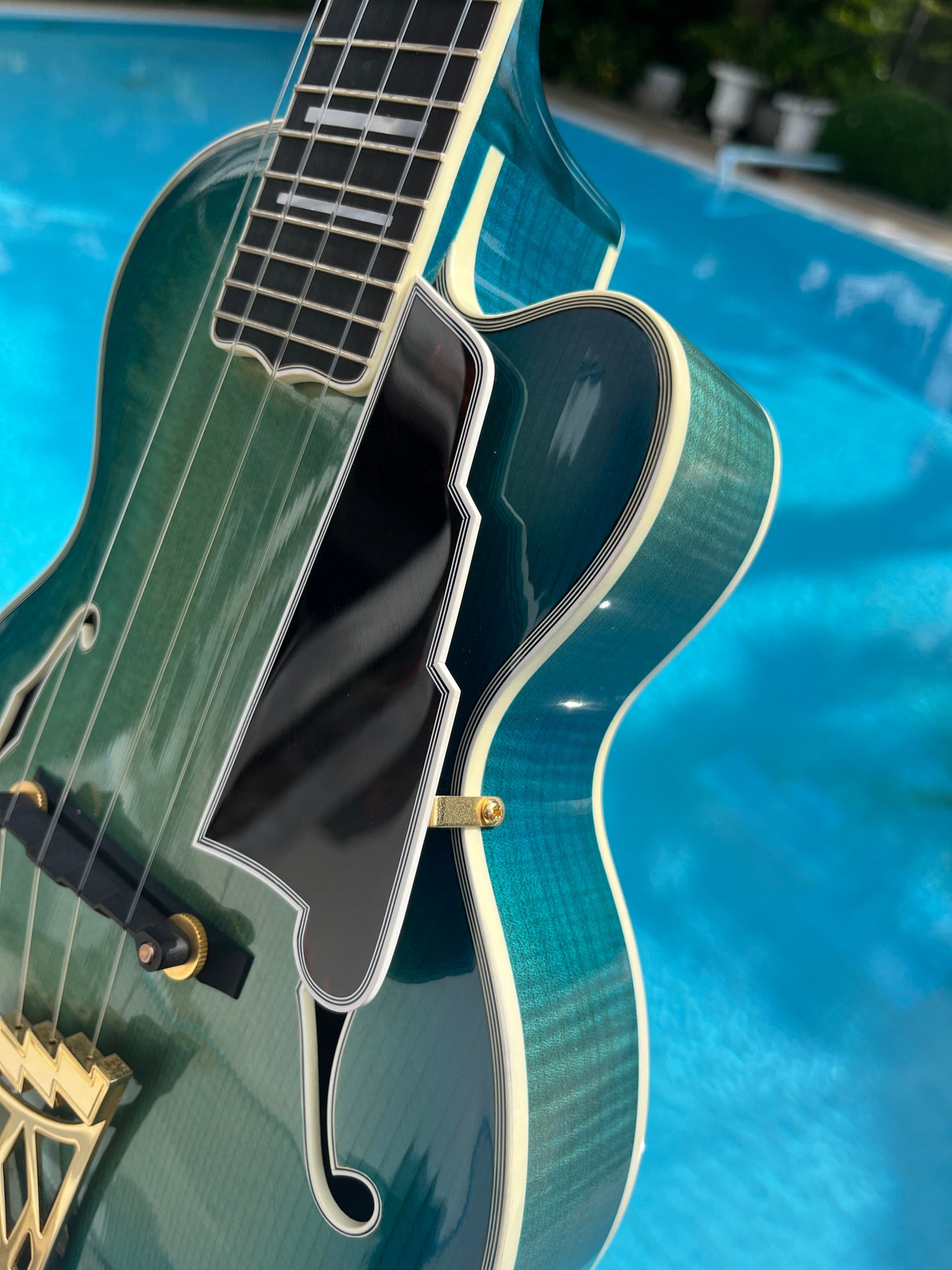 D'Angelico Arc Top Ukulele Blue Burst