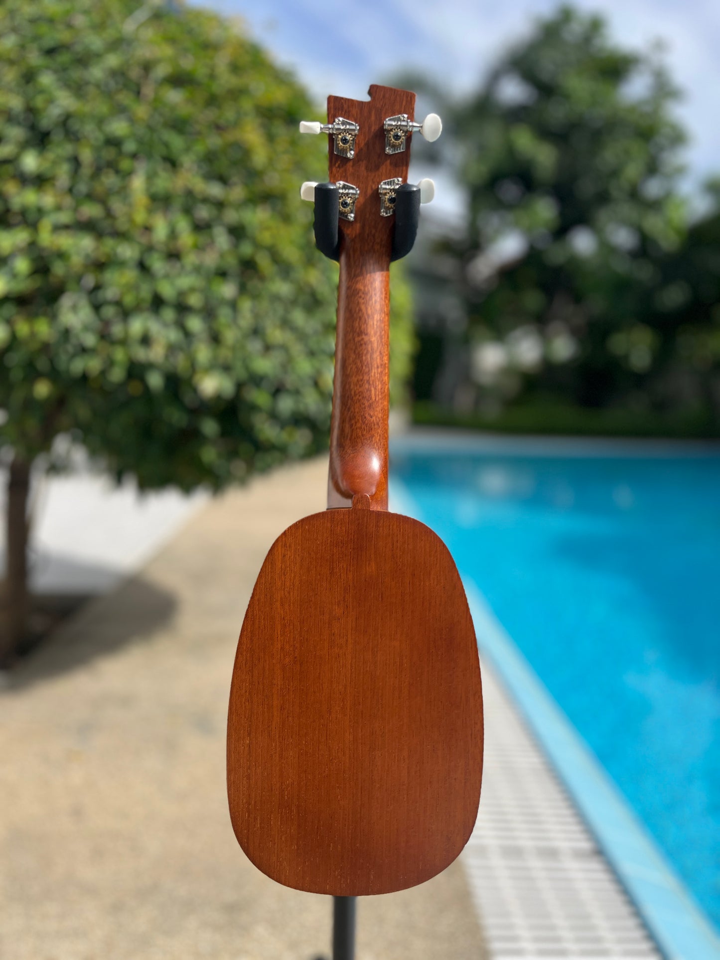 Zephyr Cat's Paw Ukulele