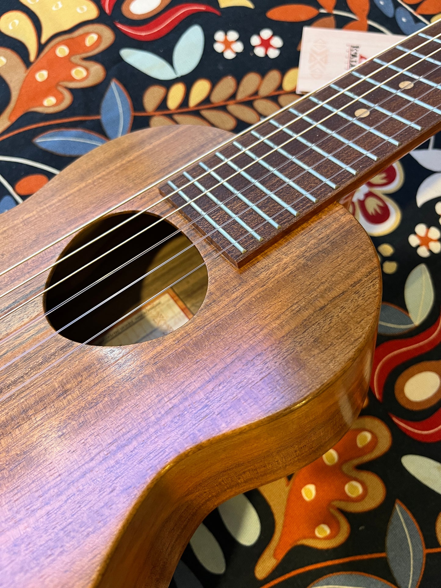 KoAloha Opio Guitarlele