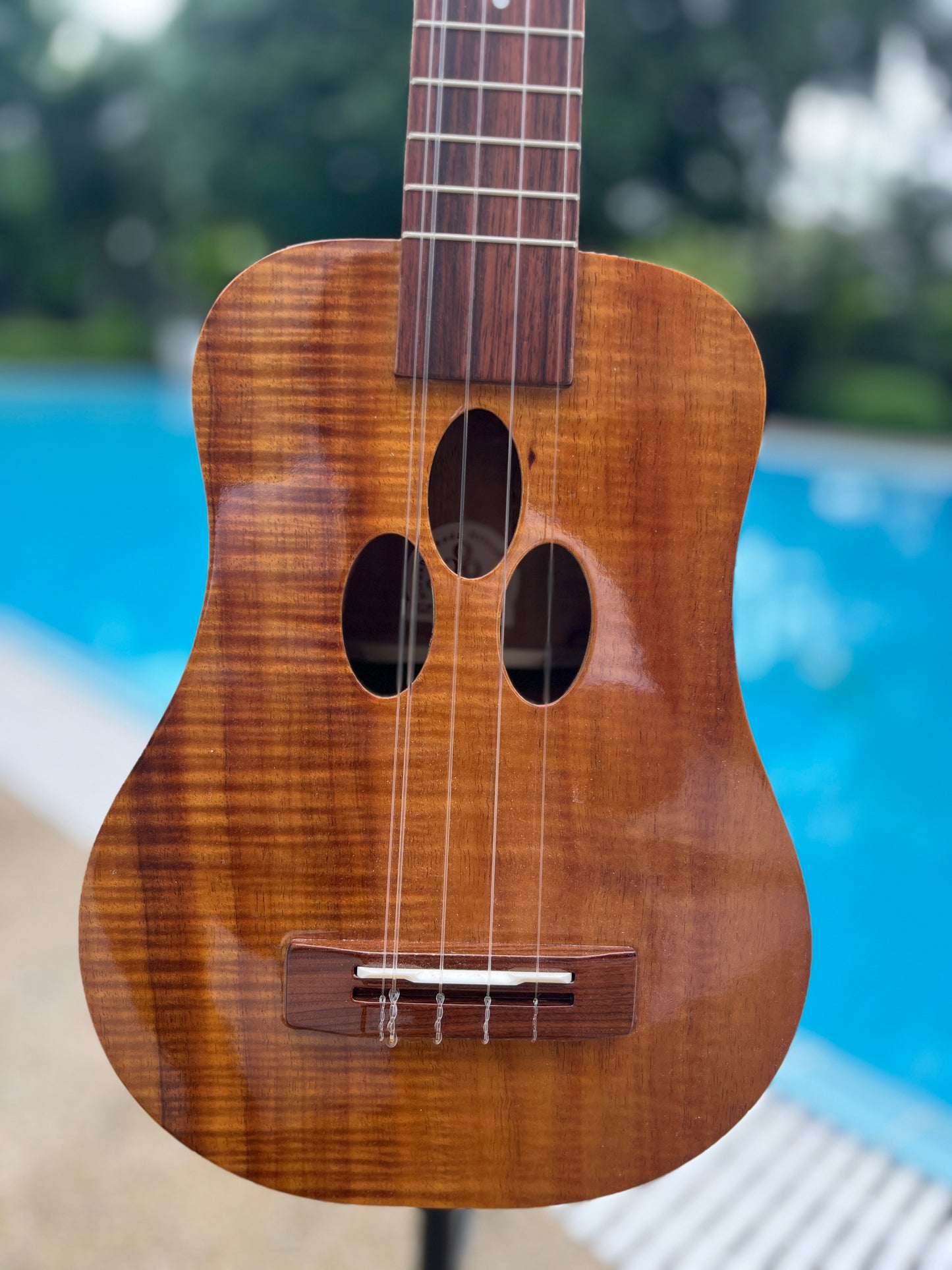 O Ukulele 5 Strings Koa Concert Long Neck