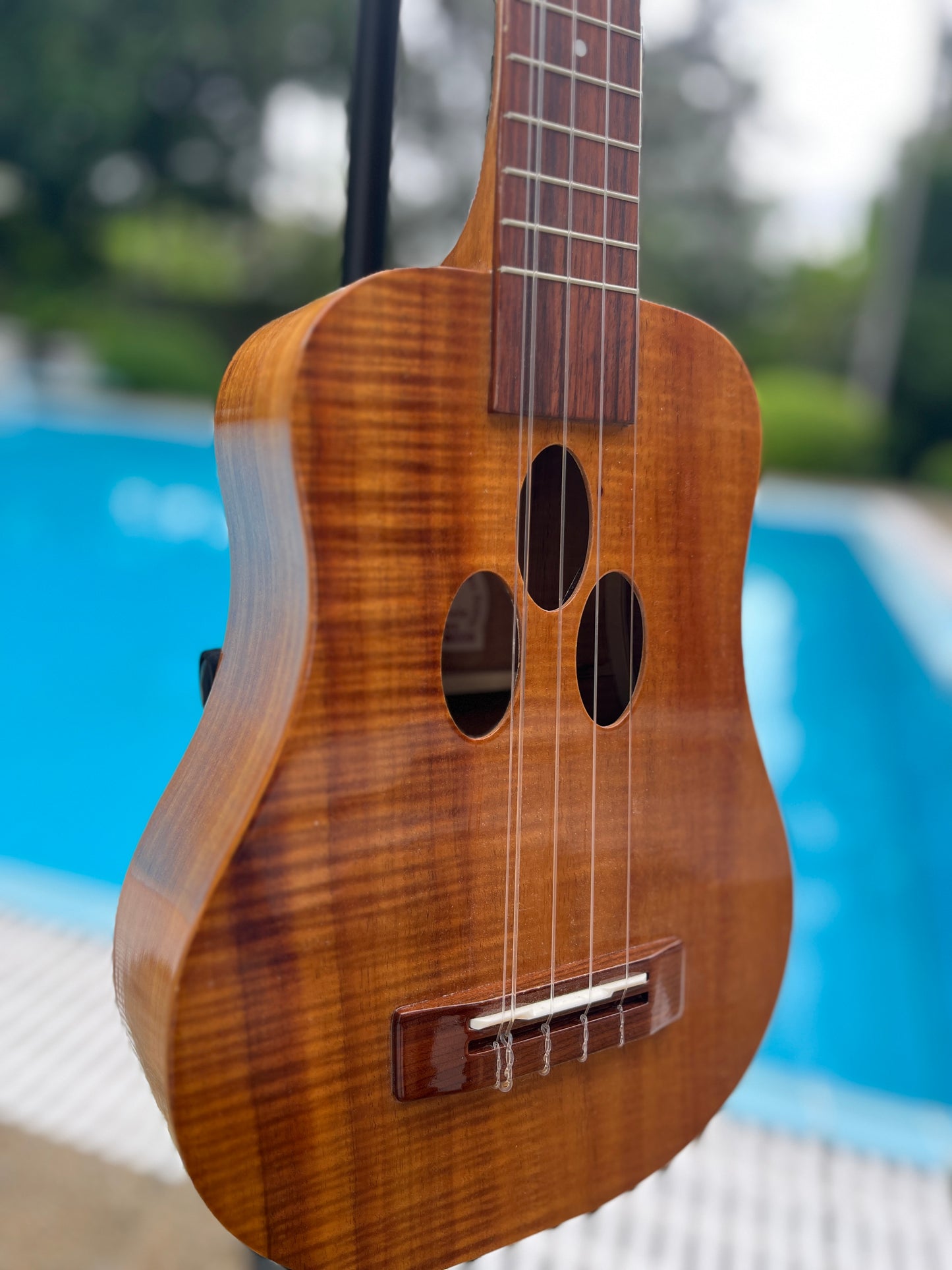 O Ukulele 5 Strings Koa Concert Long Neck