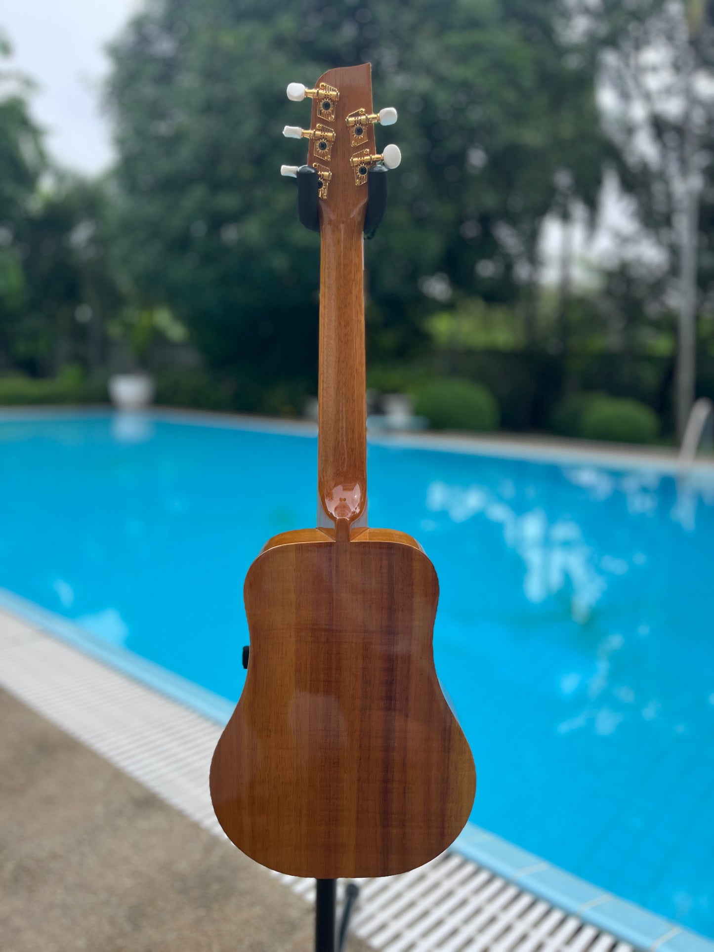 O Ukulele 5 Strings Koa Concert Long Neck