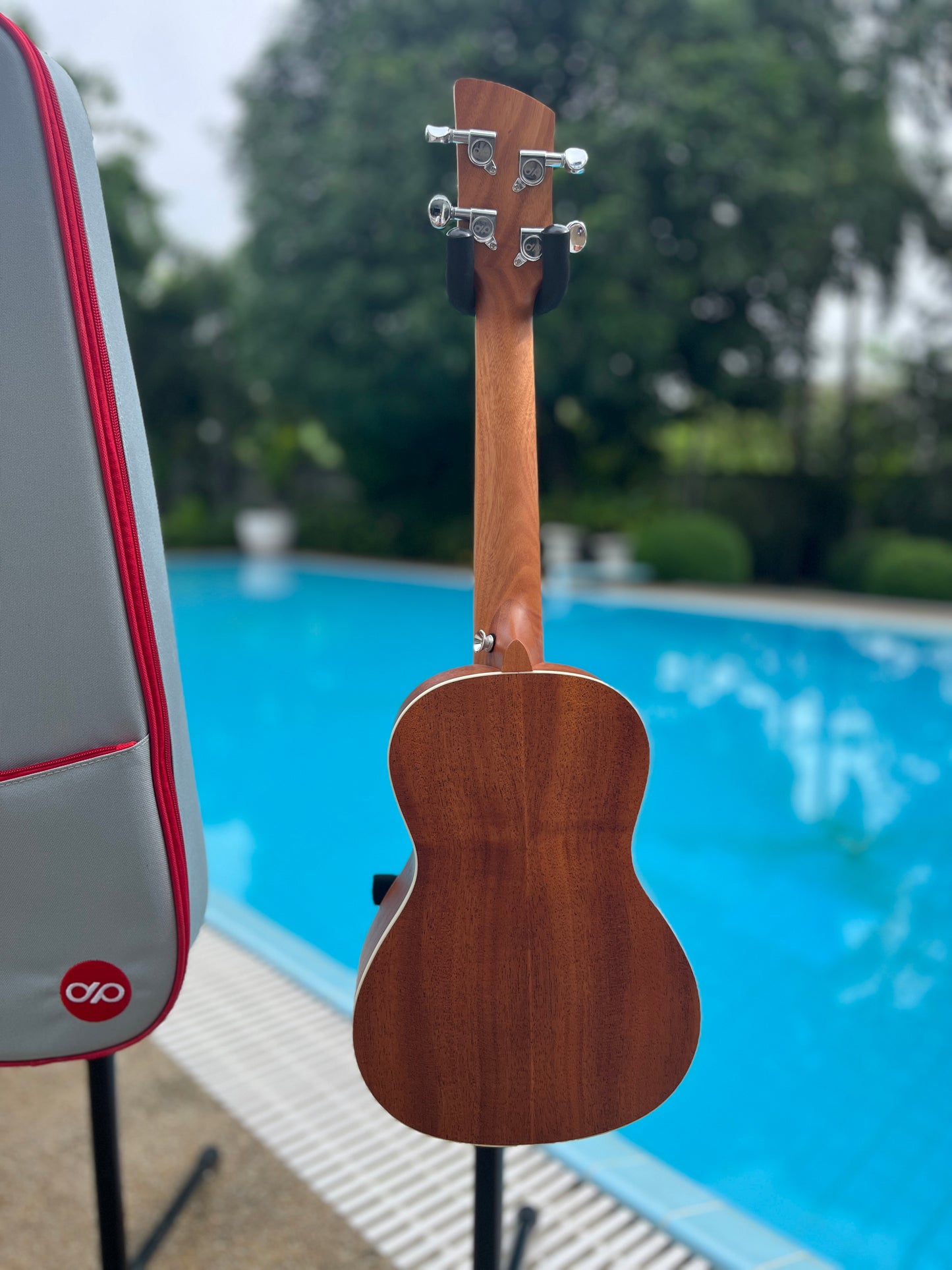 Pickapick Cloud Solid Spruce Top Concet Ukulele