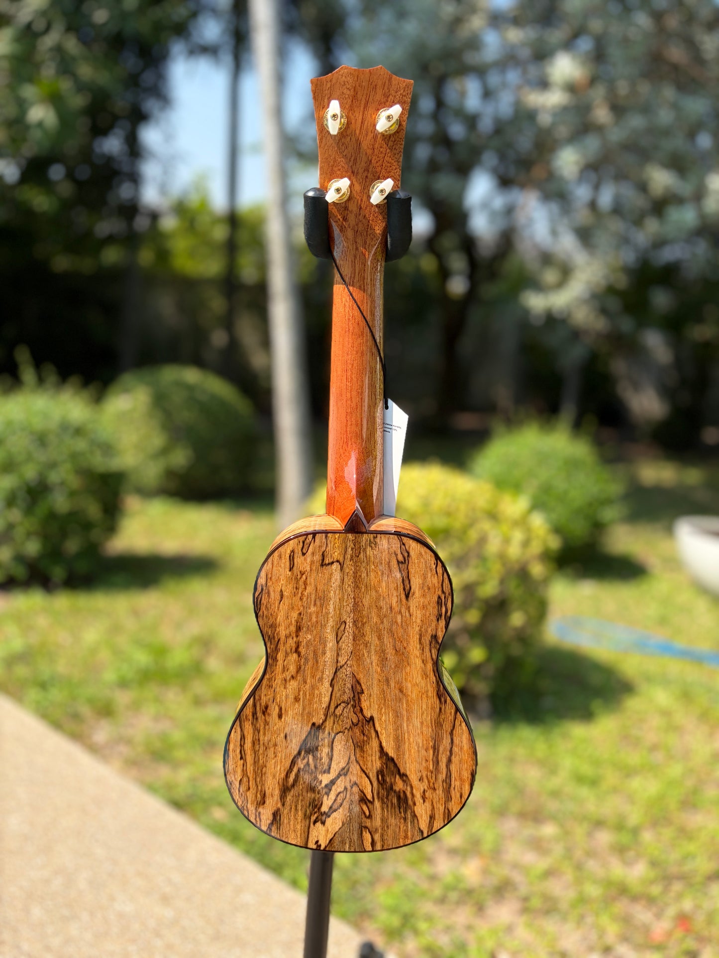 The Rebel Double Creme Plus Soprano
