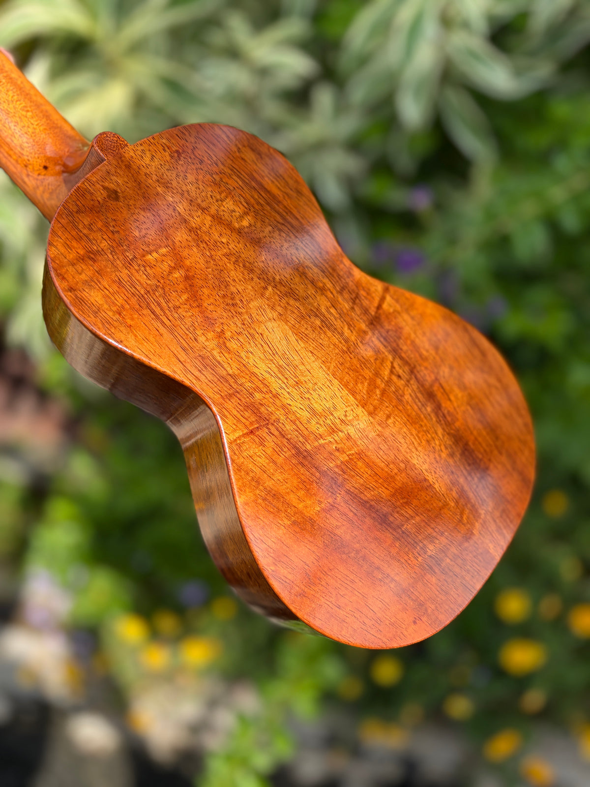 Tkitki Hawaiian koa soprano 14 frets