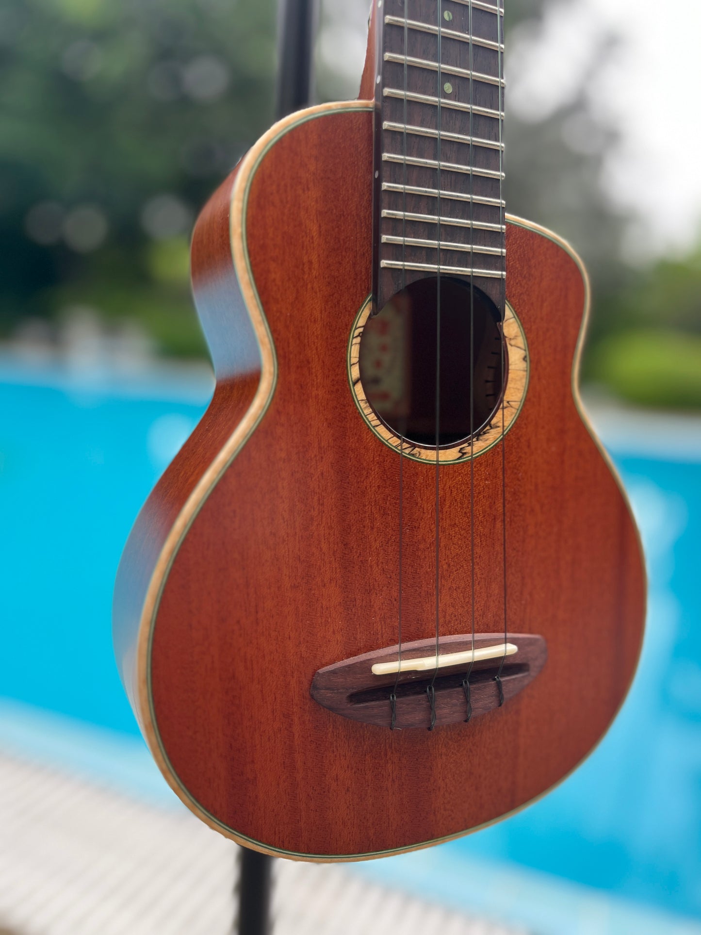 aNueNue Green Bird All Solid Cuban Mahogan Soprano