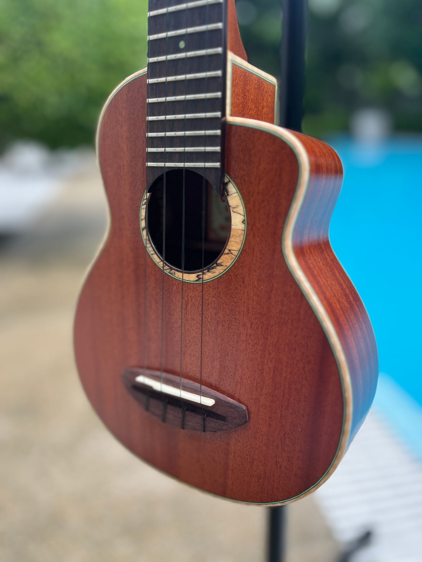 aNueNue Green Bird All Solid Cuban Mahogan Soprano