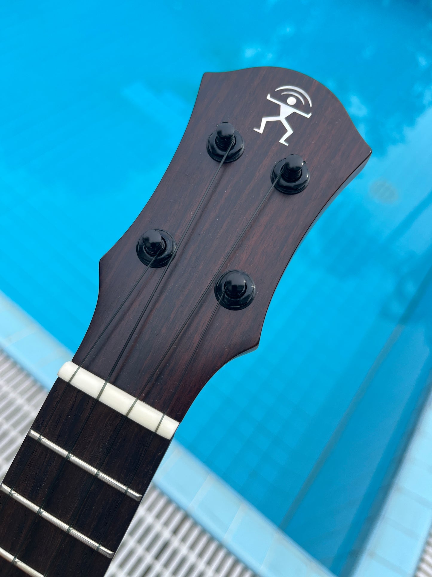 aNueNue Green Bird All Solid Cuban Mahogan Soprano